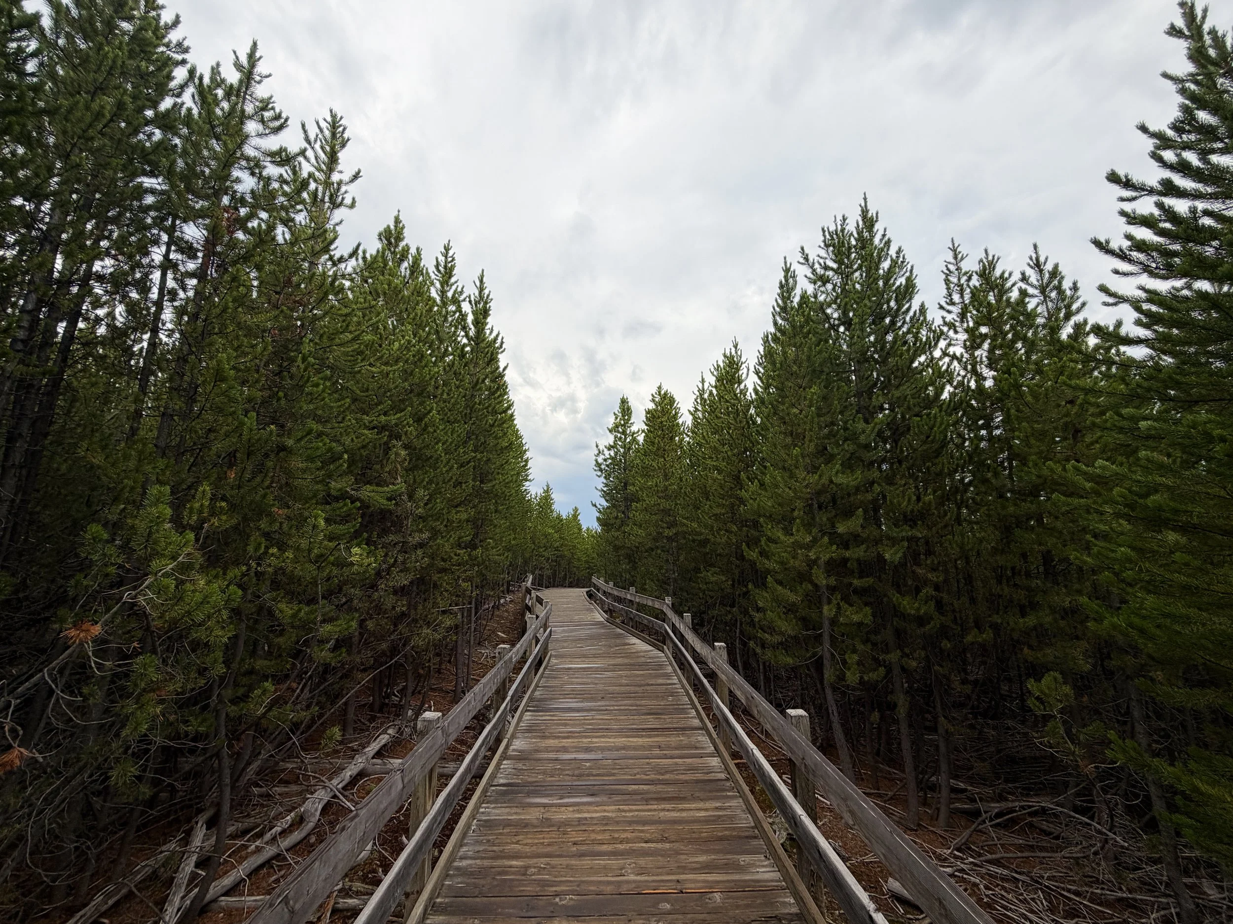 Norris Geyser Basin Trail Yellowstone National Park Wyoming