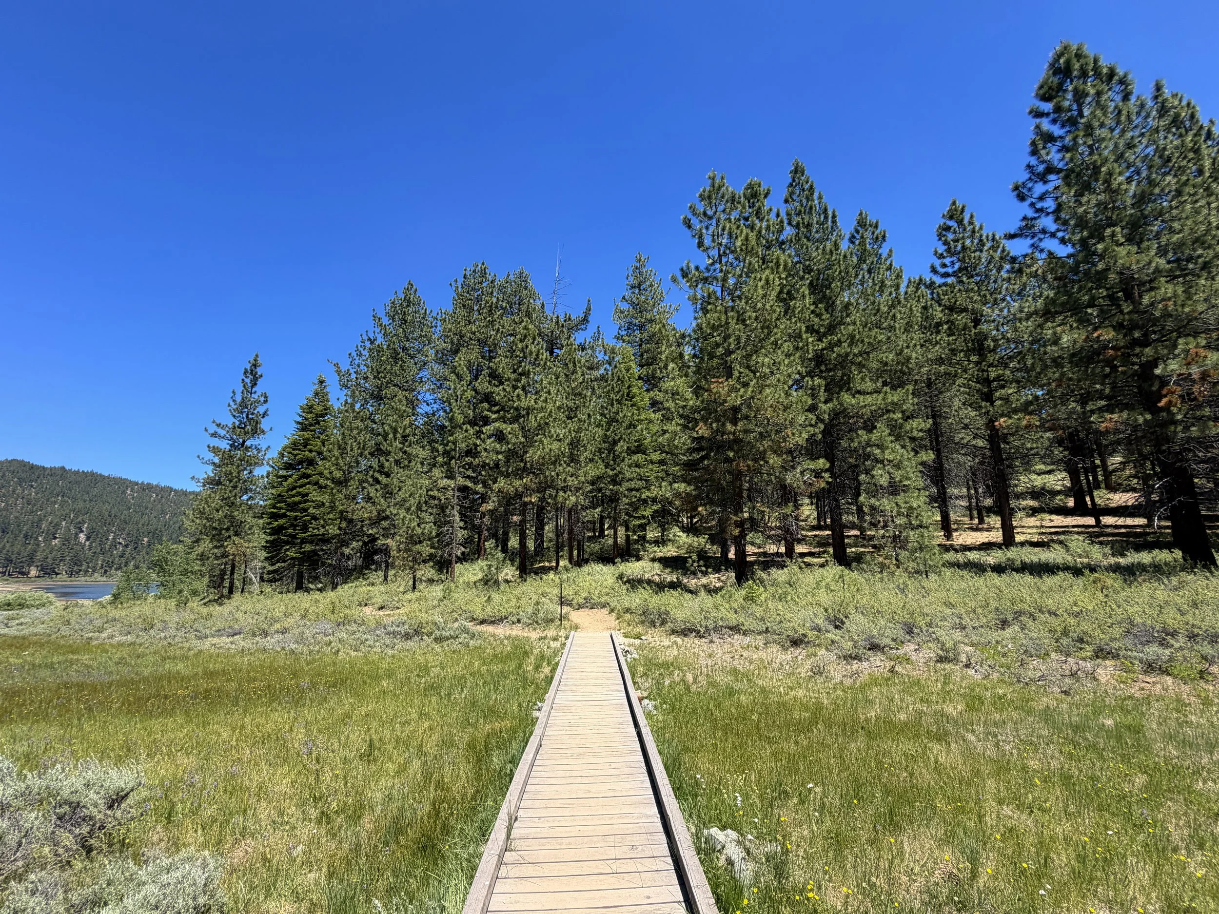 Spooner Lake Loop Trail Lake Tahoe Nevada