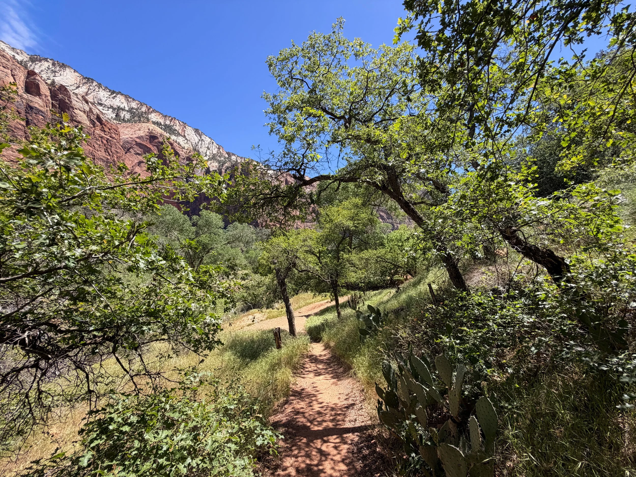 Sand Bench Trail via Zion Lodge Zion National Park Utah
