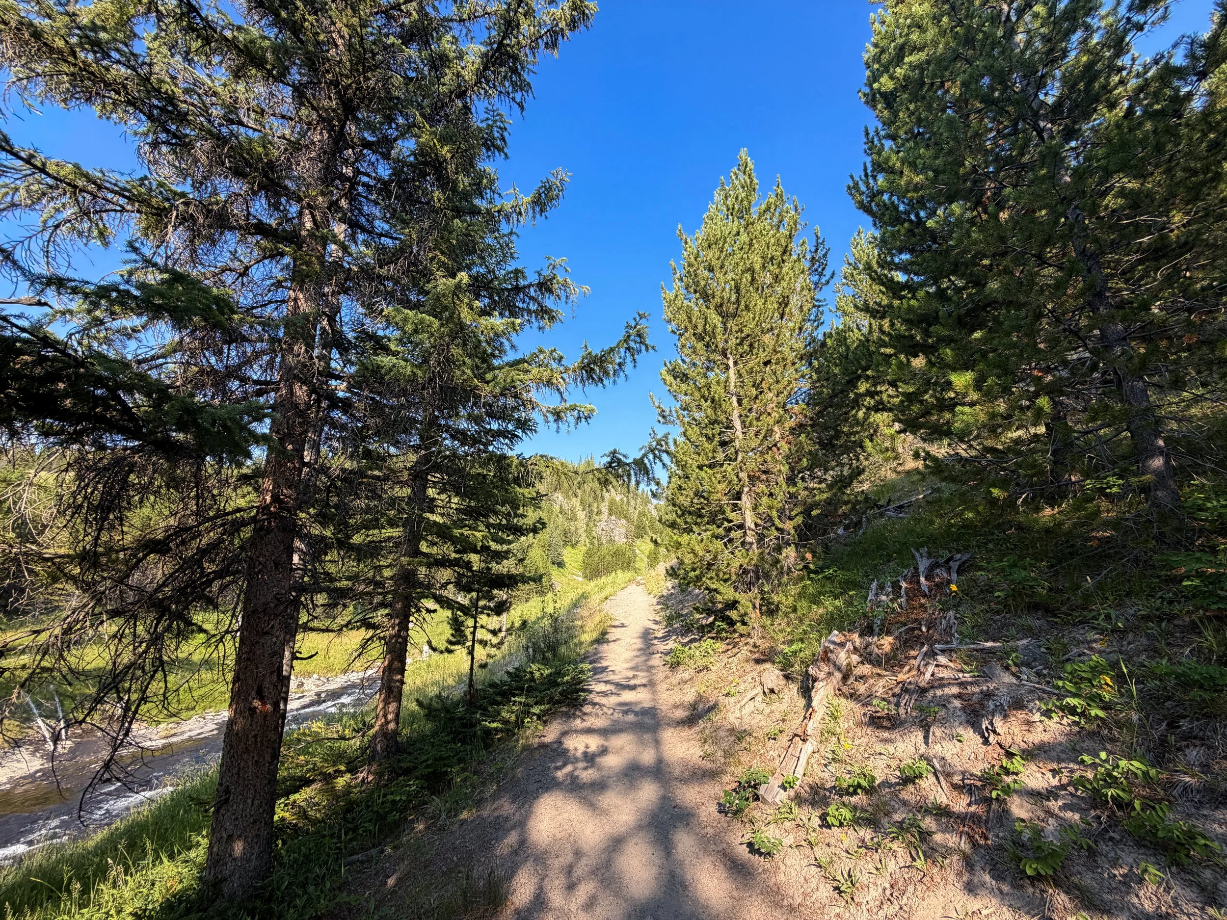 Mystic Falls Loop Hike Yellowstone National Park Wyoming