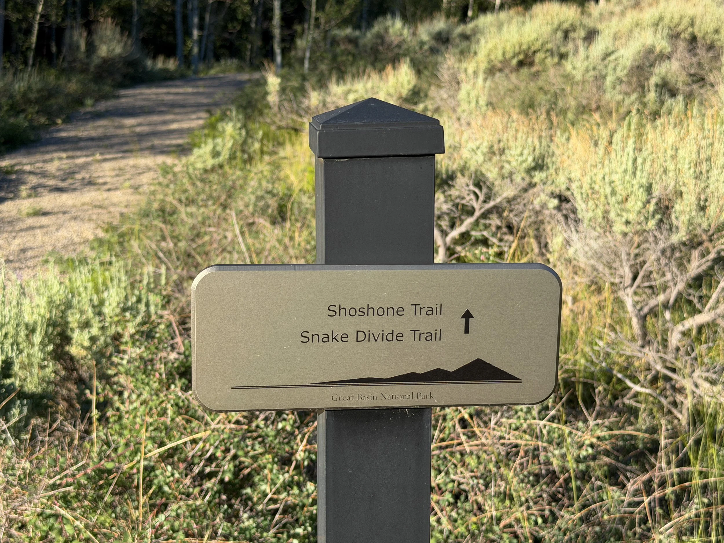 Snake Divide Trail Great Basin National Park Nevada