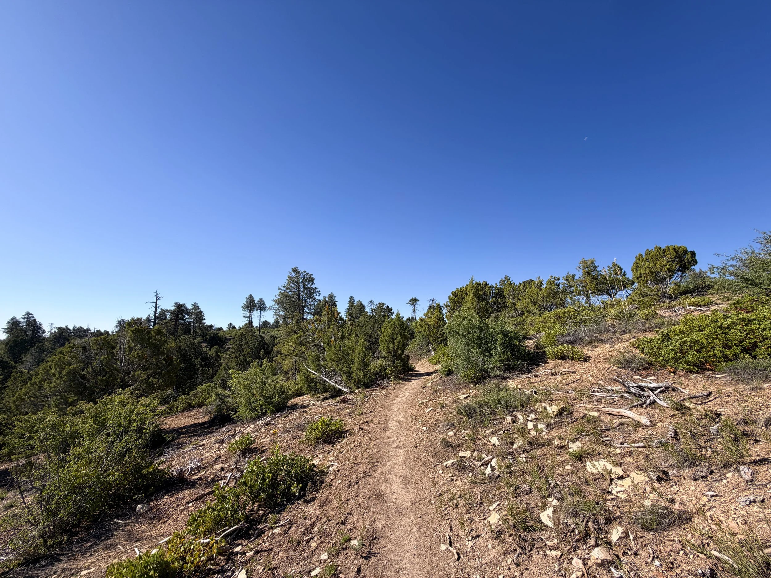 Stave Spring Trail to Deertrap Mountain Zion National Park Utah