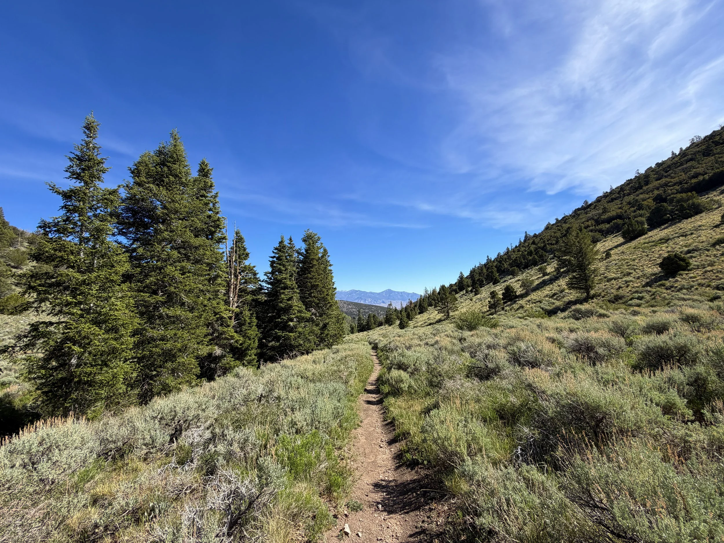 Pole Canyon Loop Hike Great Basin National Park Nevada