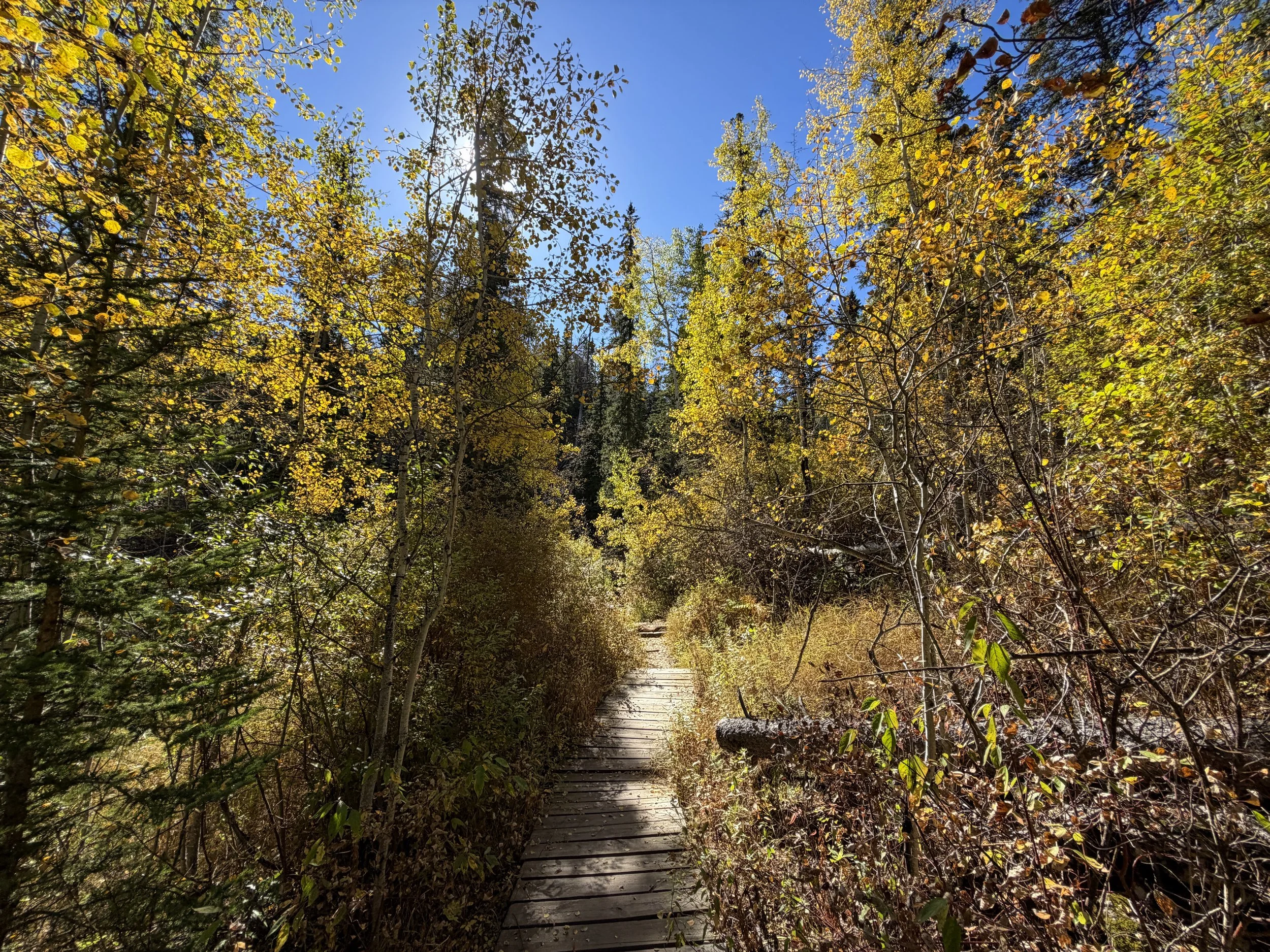 Sunday Gulch Trail Custer State Park Black Hills South Dakota