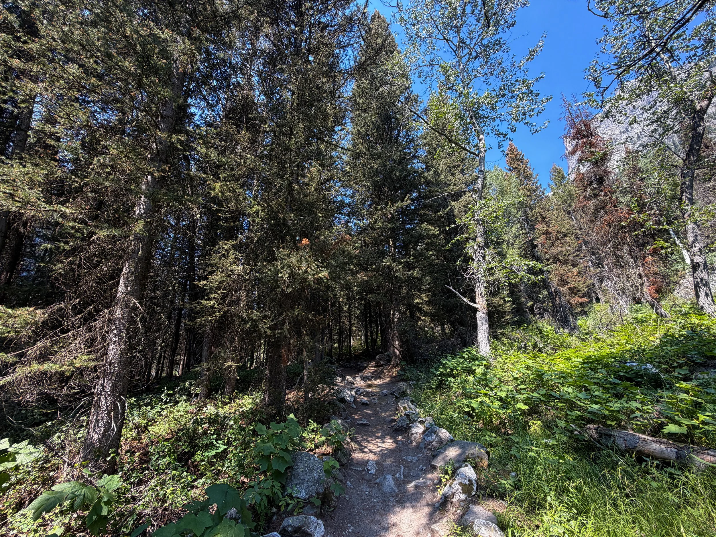 Cascade Canyon Trail Grand Teton National Park Wyoming