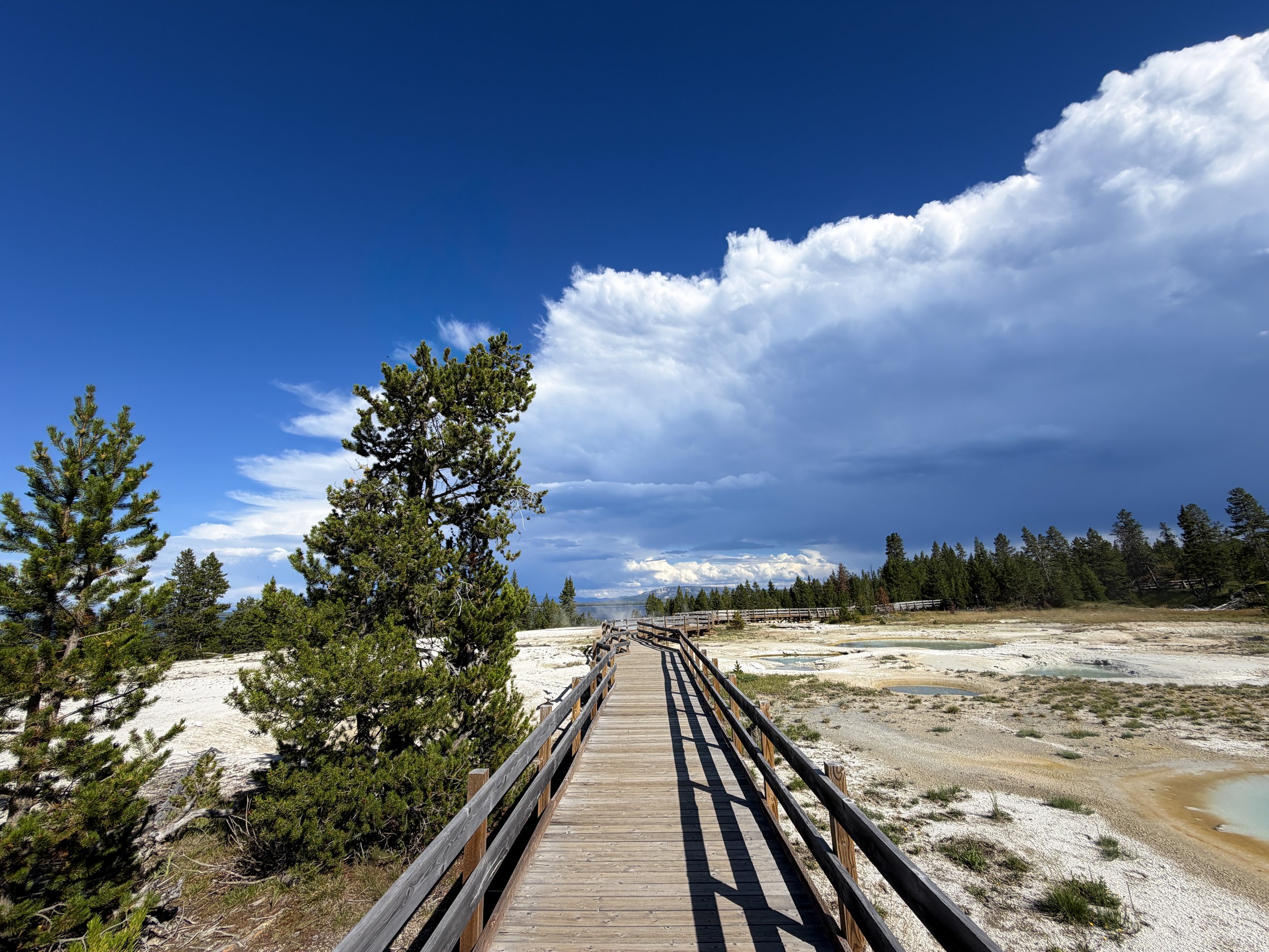 West Thumb Geyser Basin Trail Yellowstone National Park Wyoming