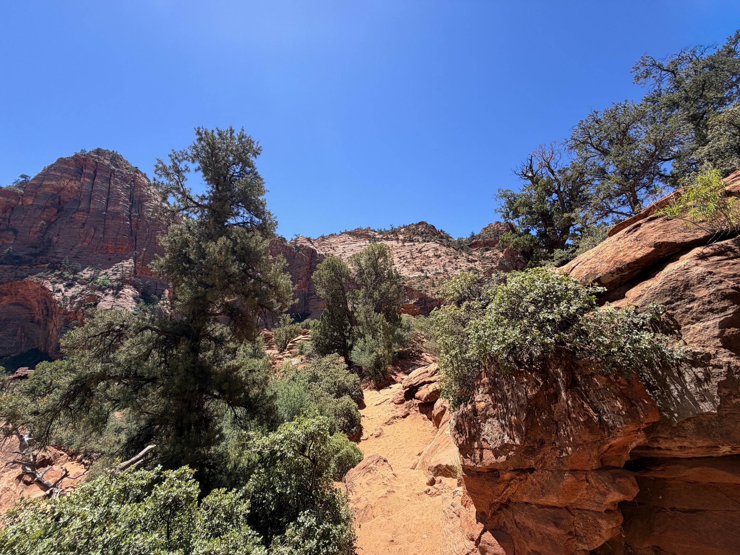 Canyon Overlook Trail Zion National Park Utah