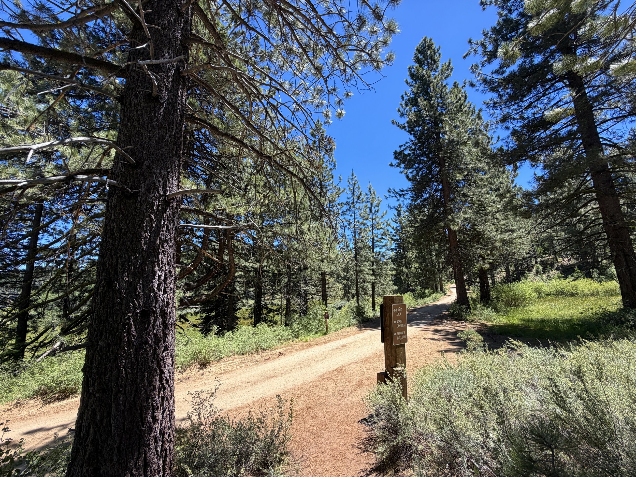Spooner Lake Loop Trail Lake Tahoe Nevada