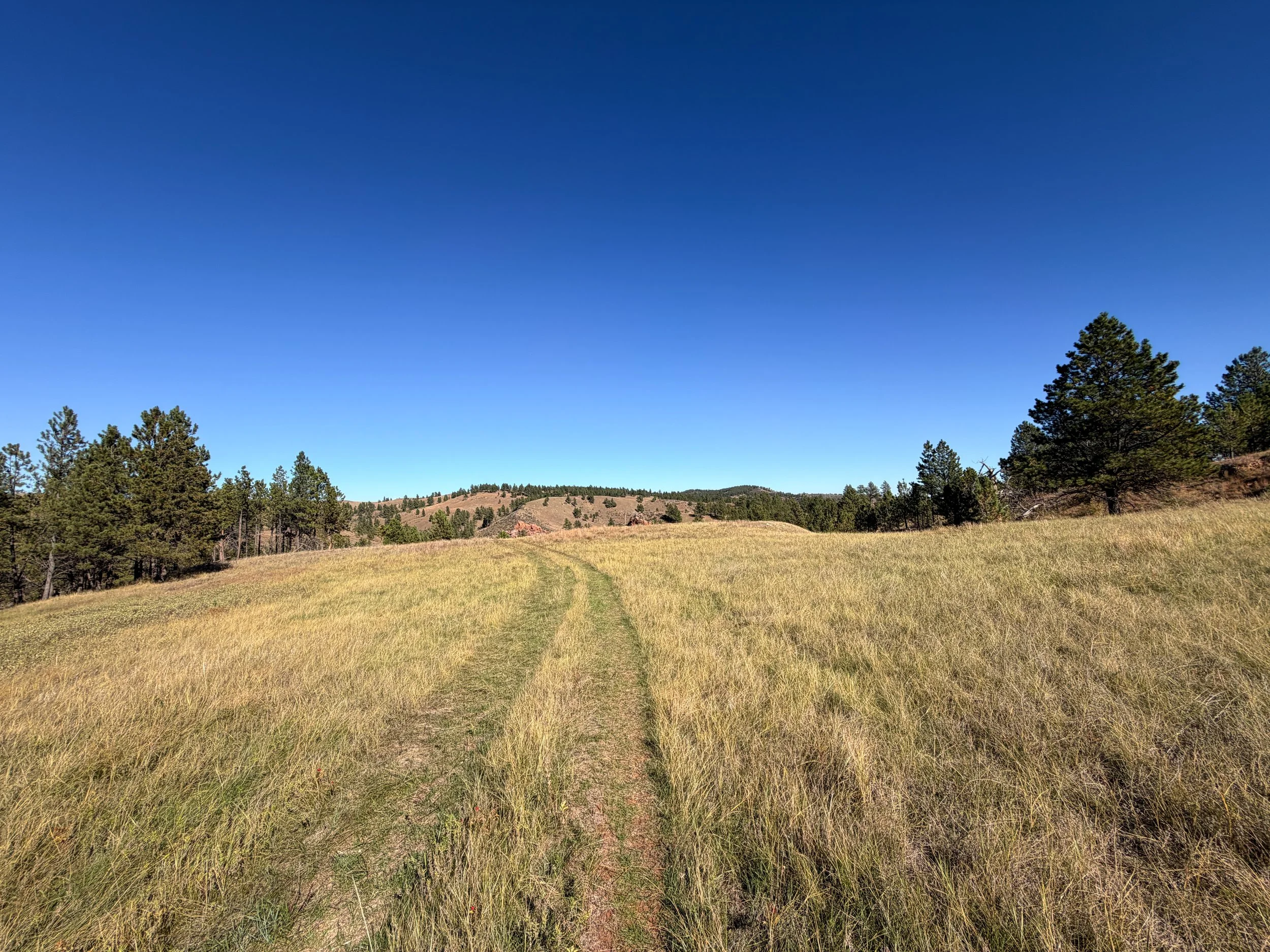 East Bison Flats Trail to Wind Cave Canyon Wind Cave National Park South Dakota