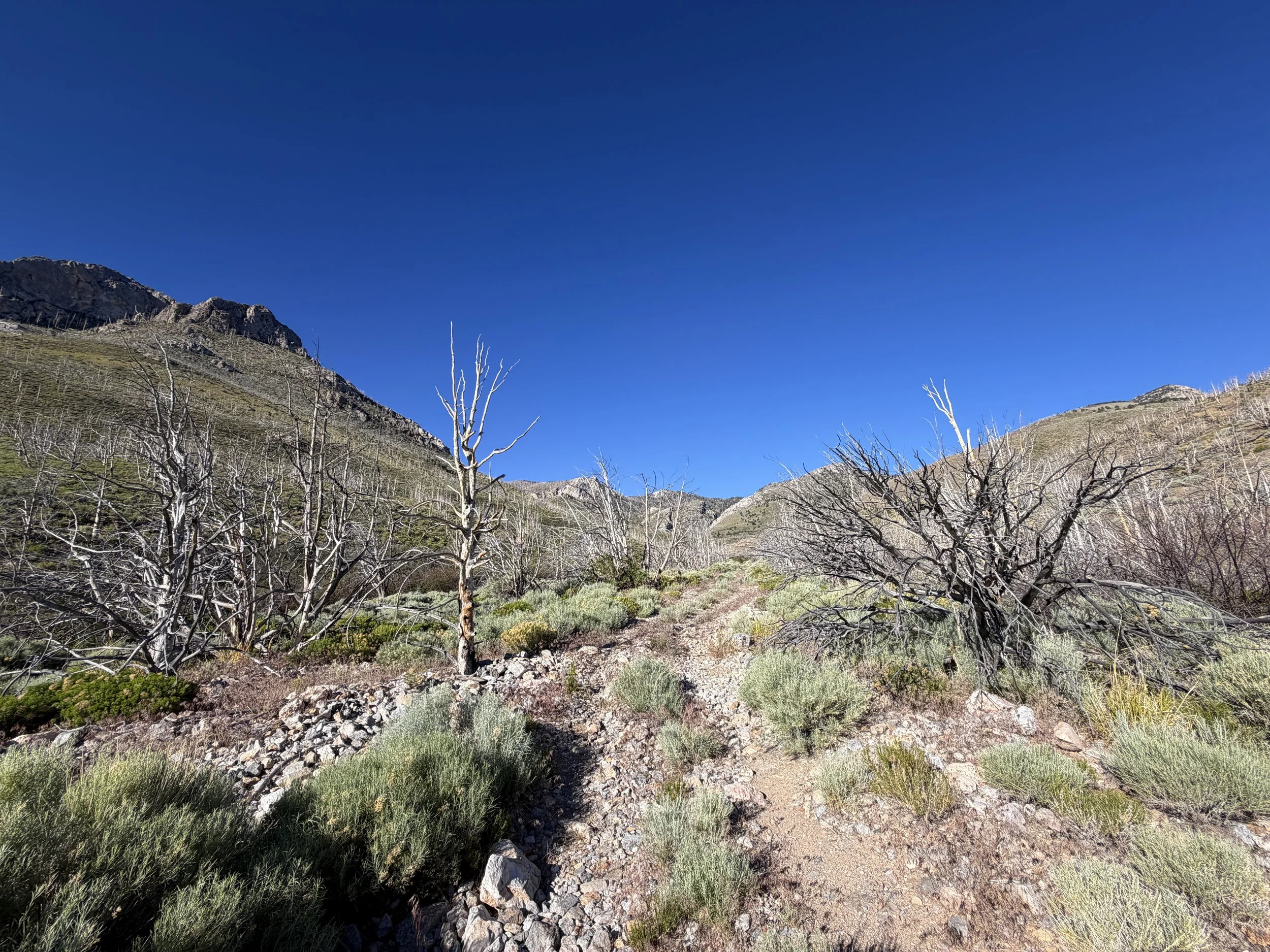 Lexington Arch Trail Great Basin National Park Nevada
