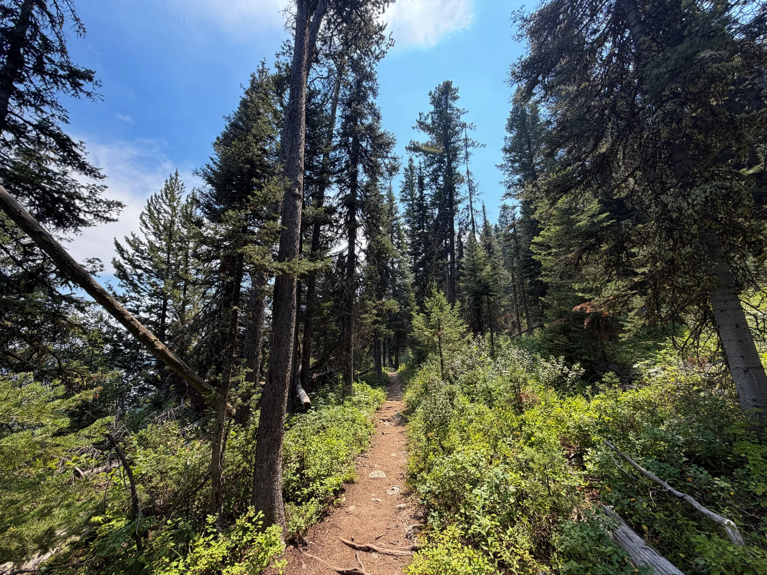Phelps Lake Loop Trail Grand Teton National Park Wyoming