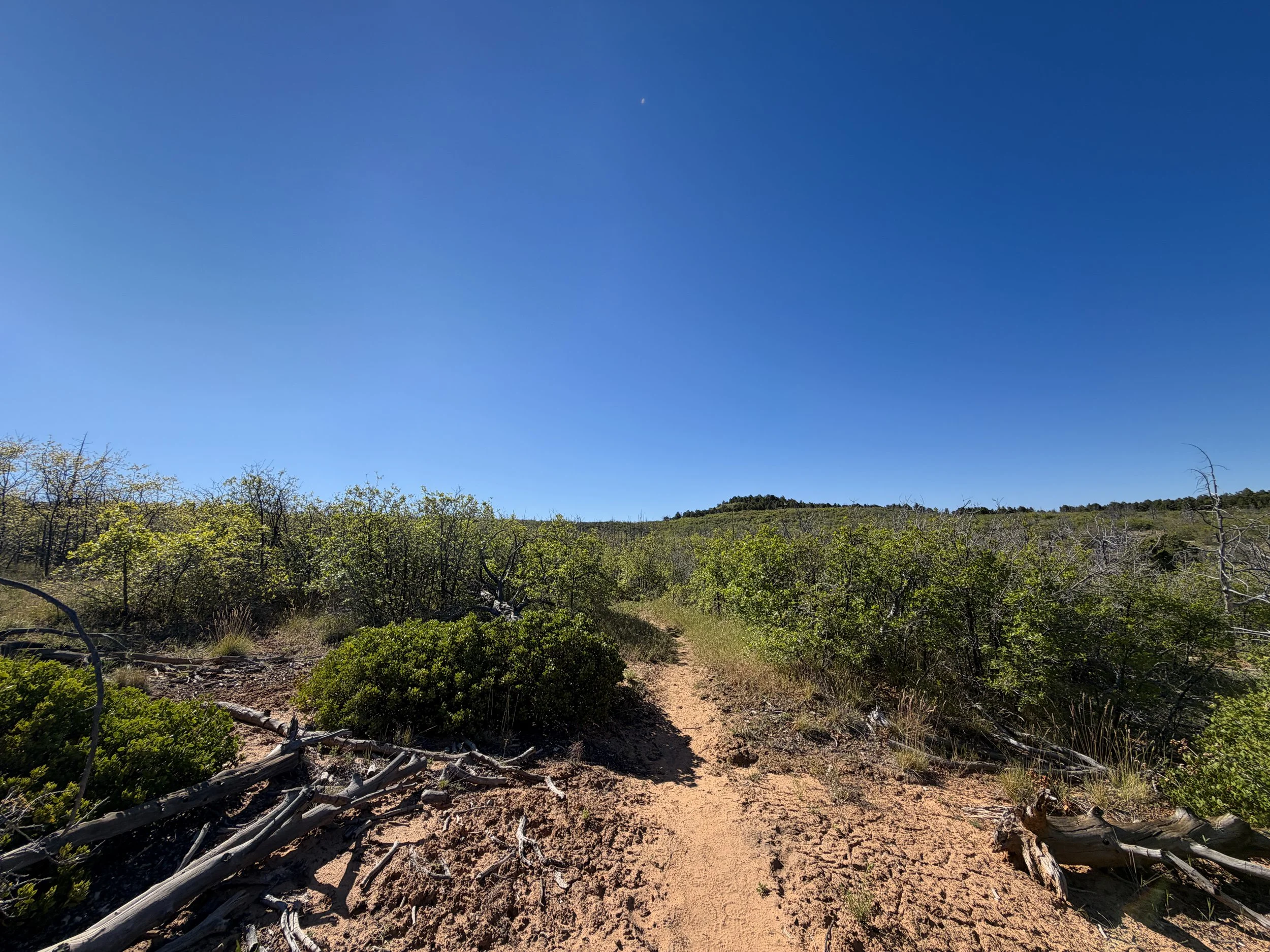 Deertrap Mountain Trail Zion National Park Utah