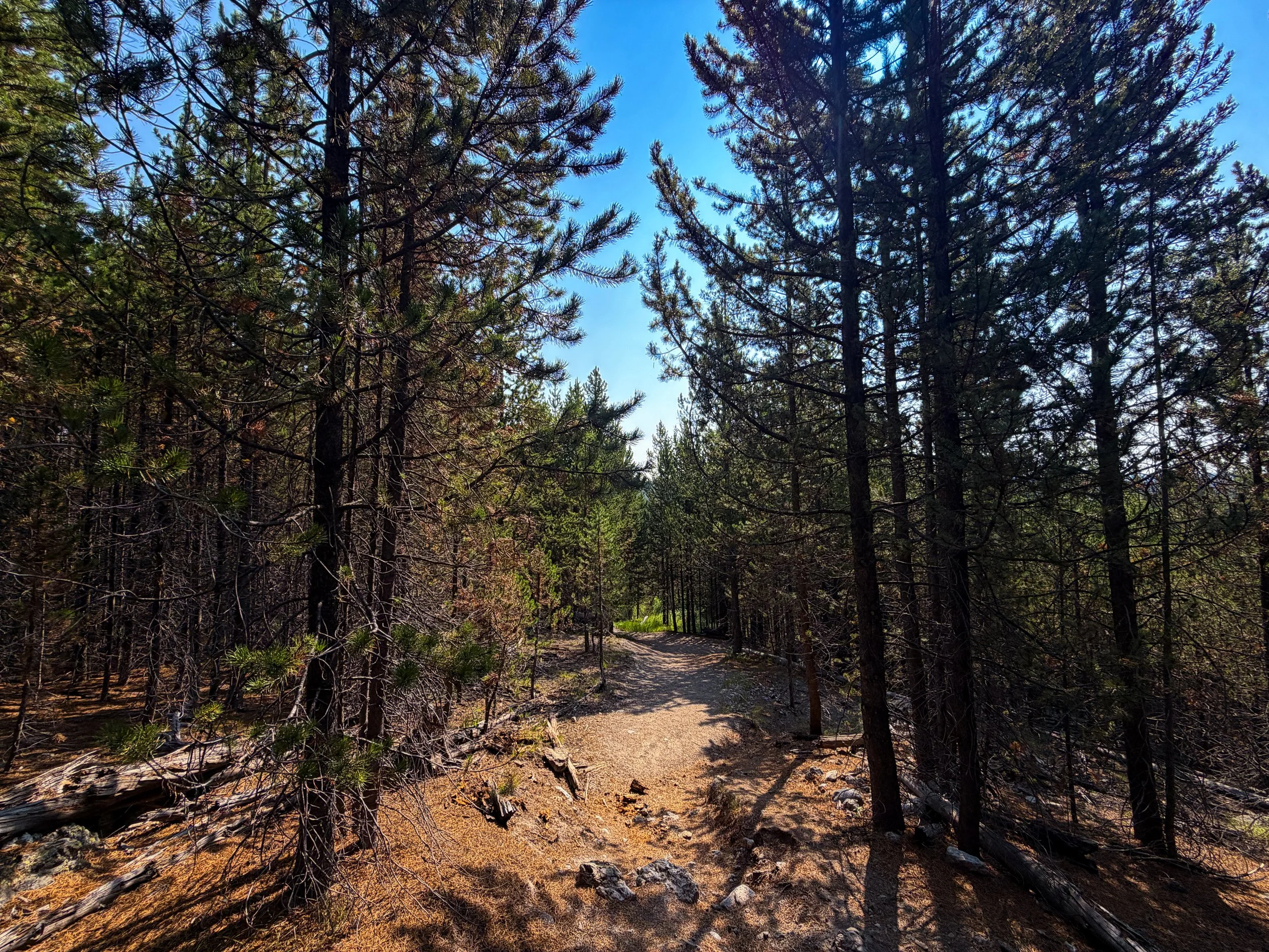 Mystic Falls Trail Yellowstone National Park Wyoming