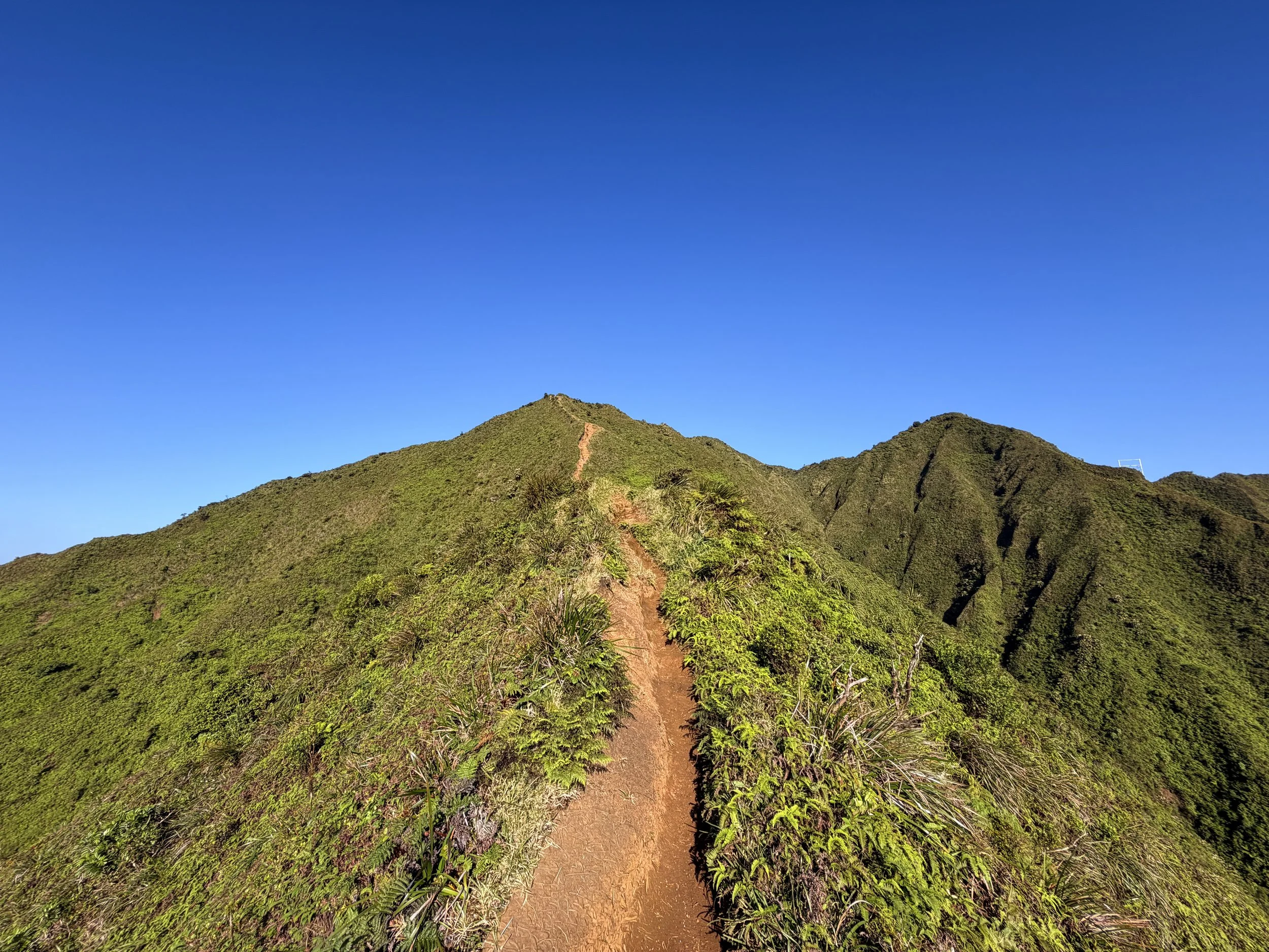 Moanalua Middle Ridge Trail Back Way to Stairway to Heaven Oahu Hawaii
