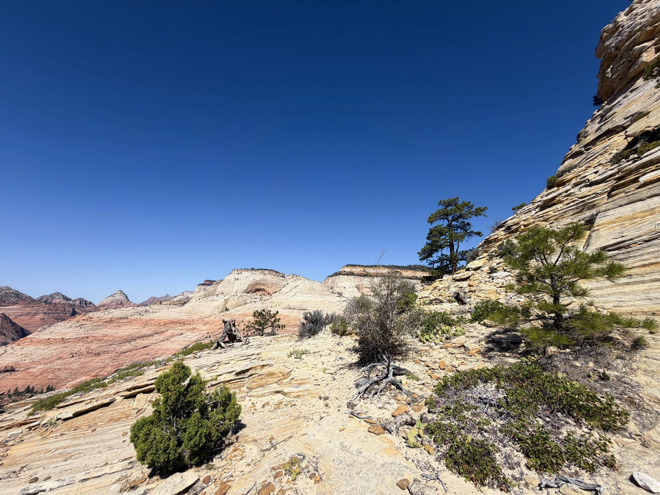 South Ariel Peak Hike Zion National Park Utah