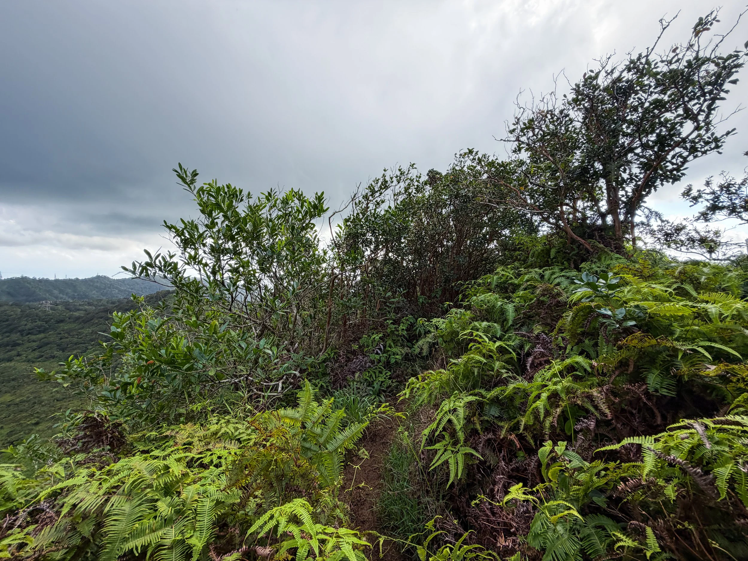 Kaau Crater Hike Oahu Hawaii