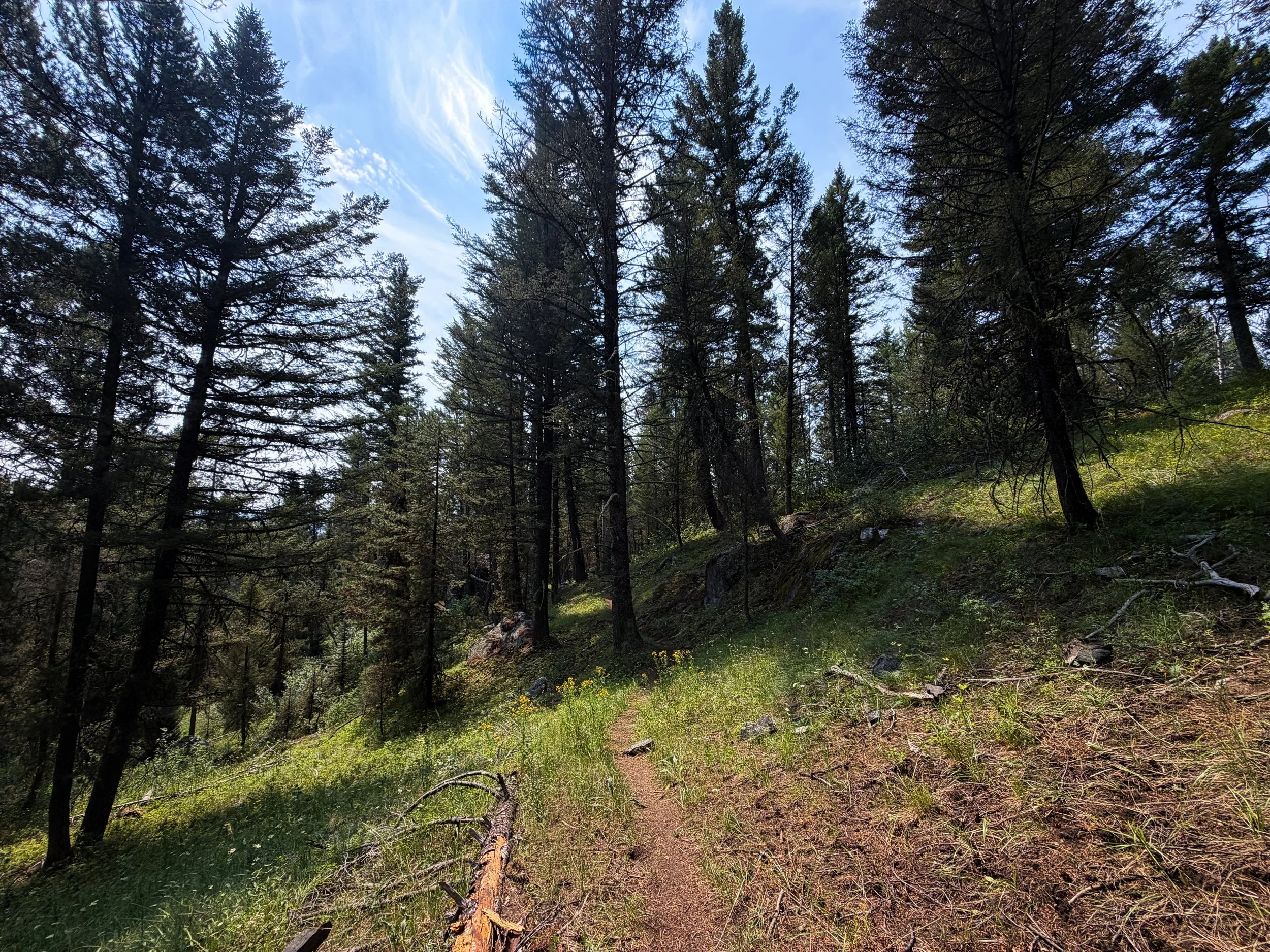 Boulder Ridge Trail Grand Teton National Park Wyoming