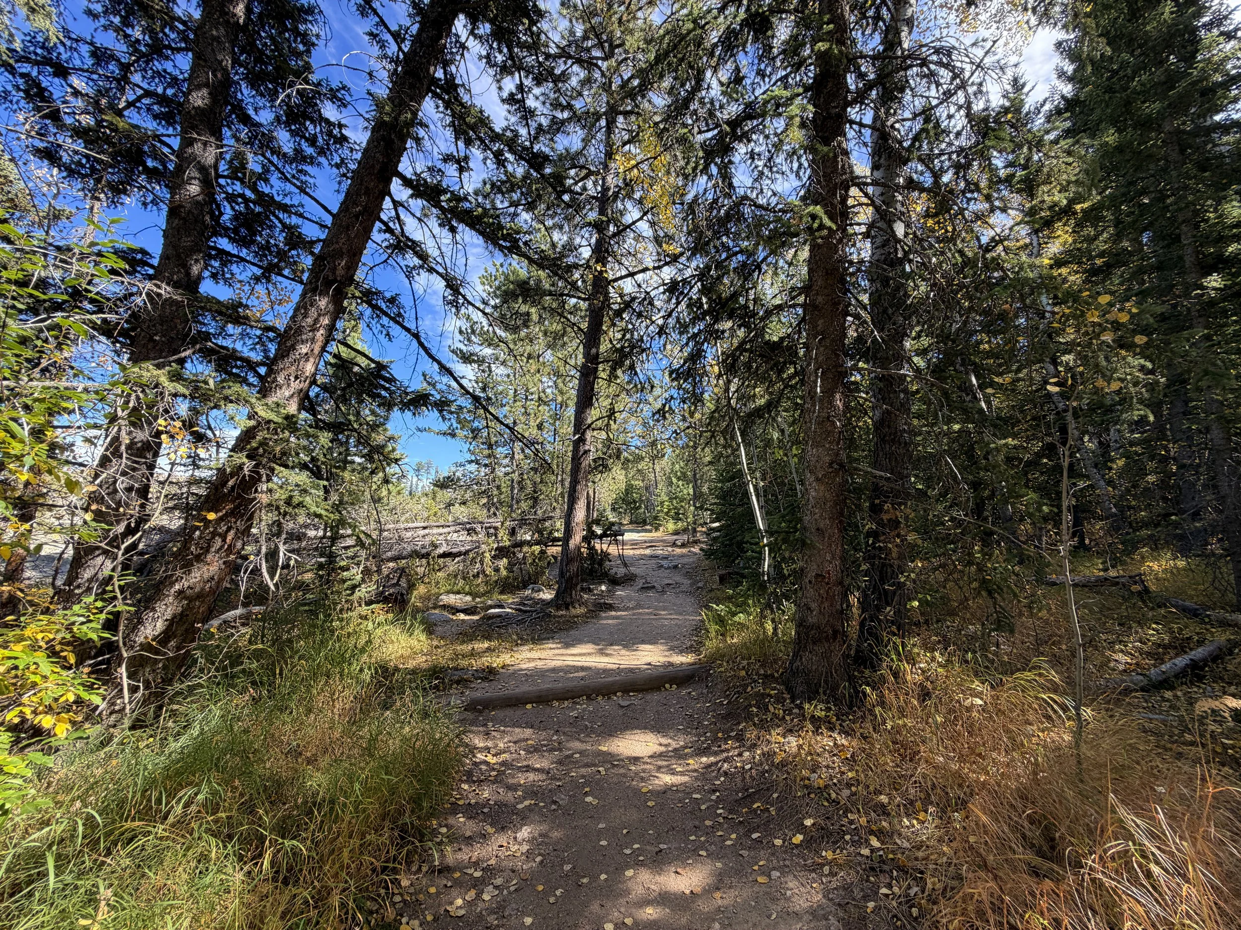 Black Elk Peak Hike Custer State Park Black Hills South Dakota