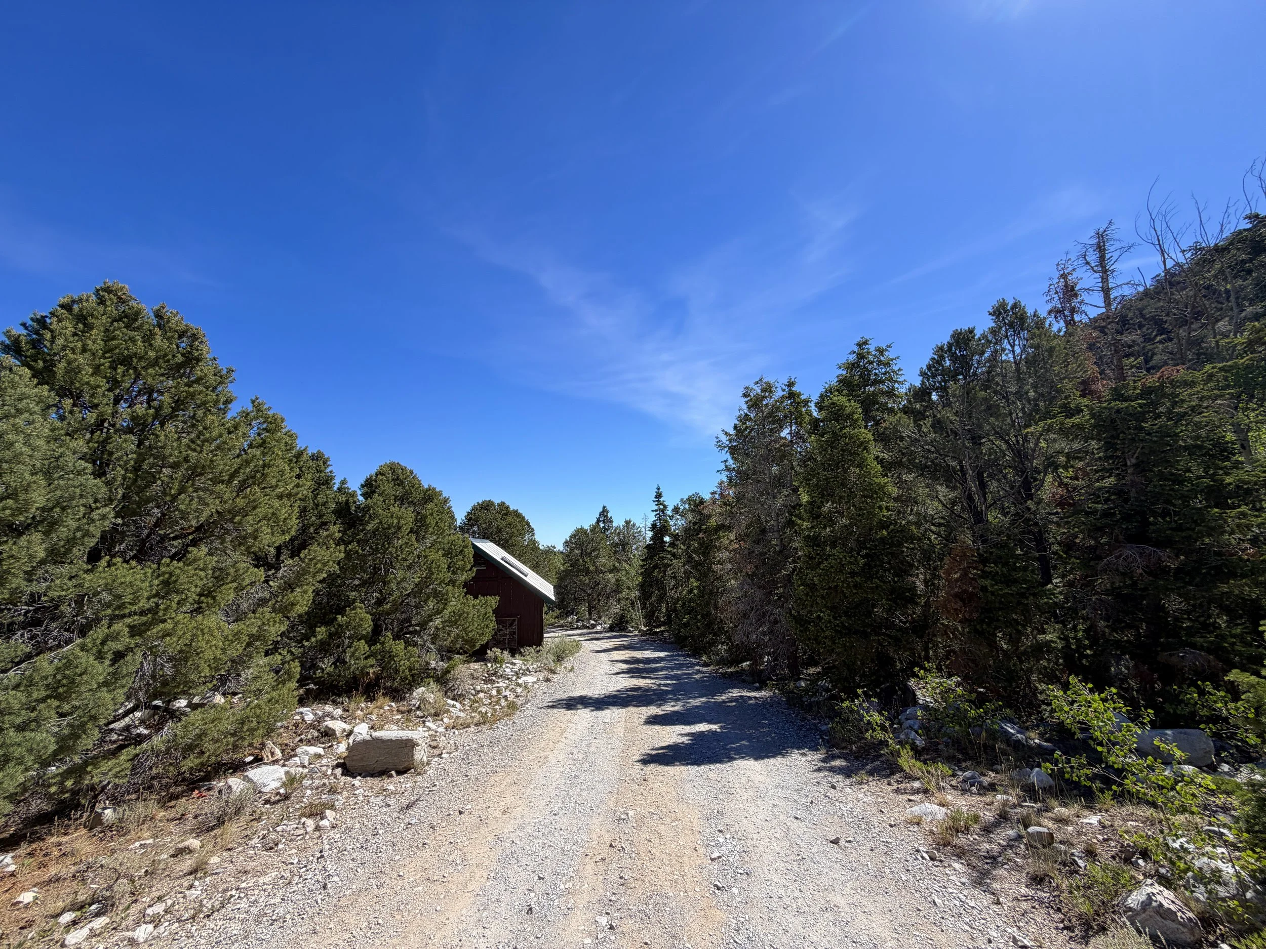 Baker Creek Campground Pole Canyon Loop Trail Great Basin National Park Nevada