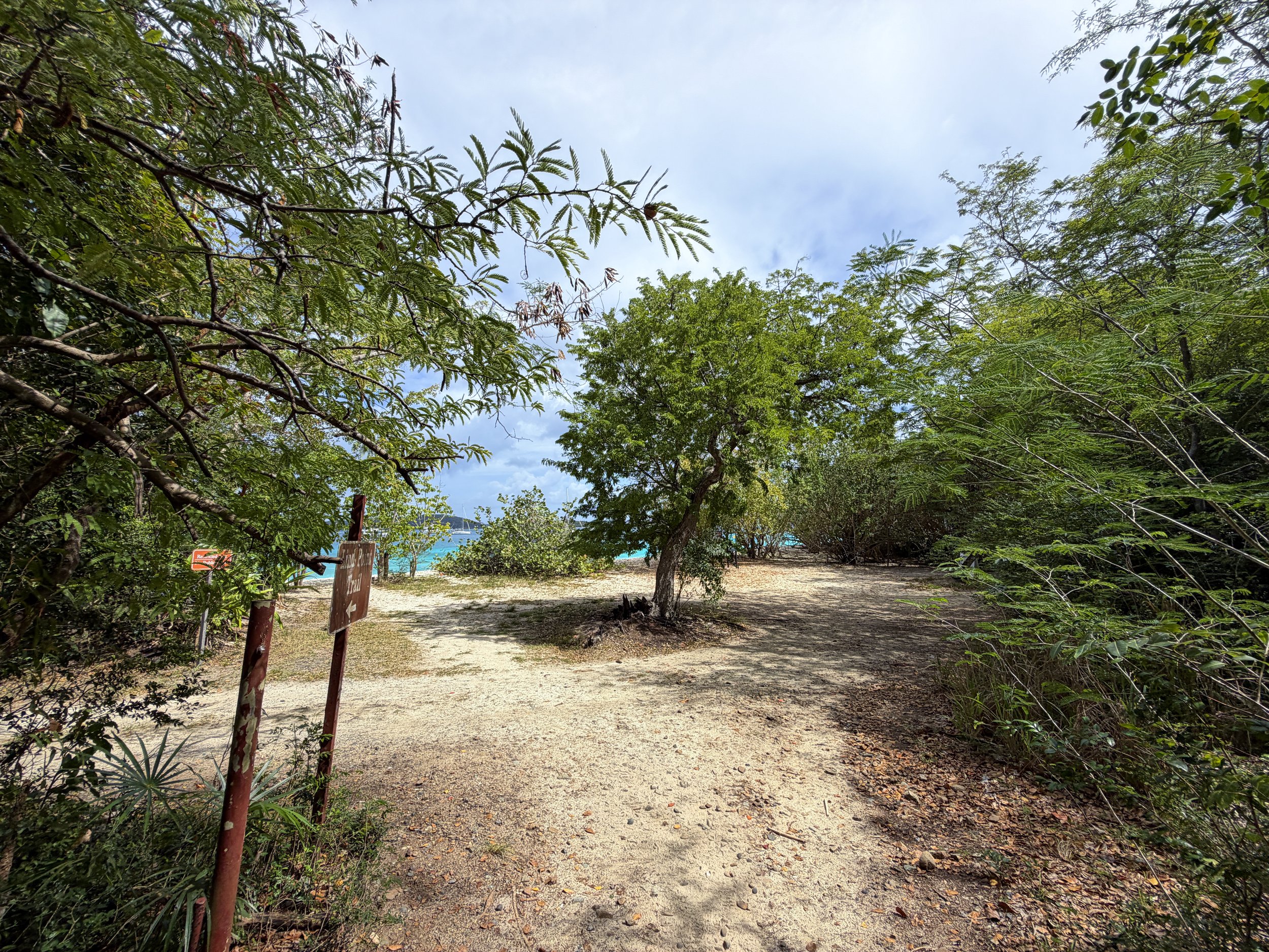 Honeymoon Beach Trail Virgin Islands National Park