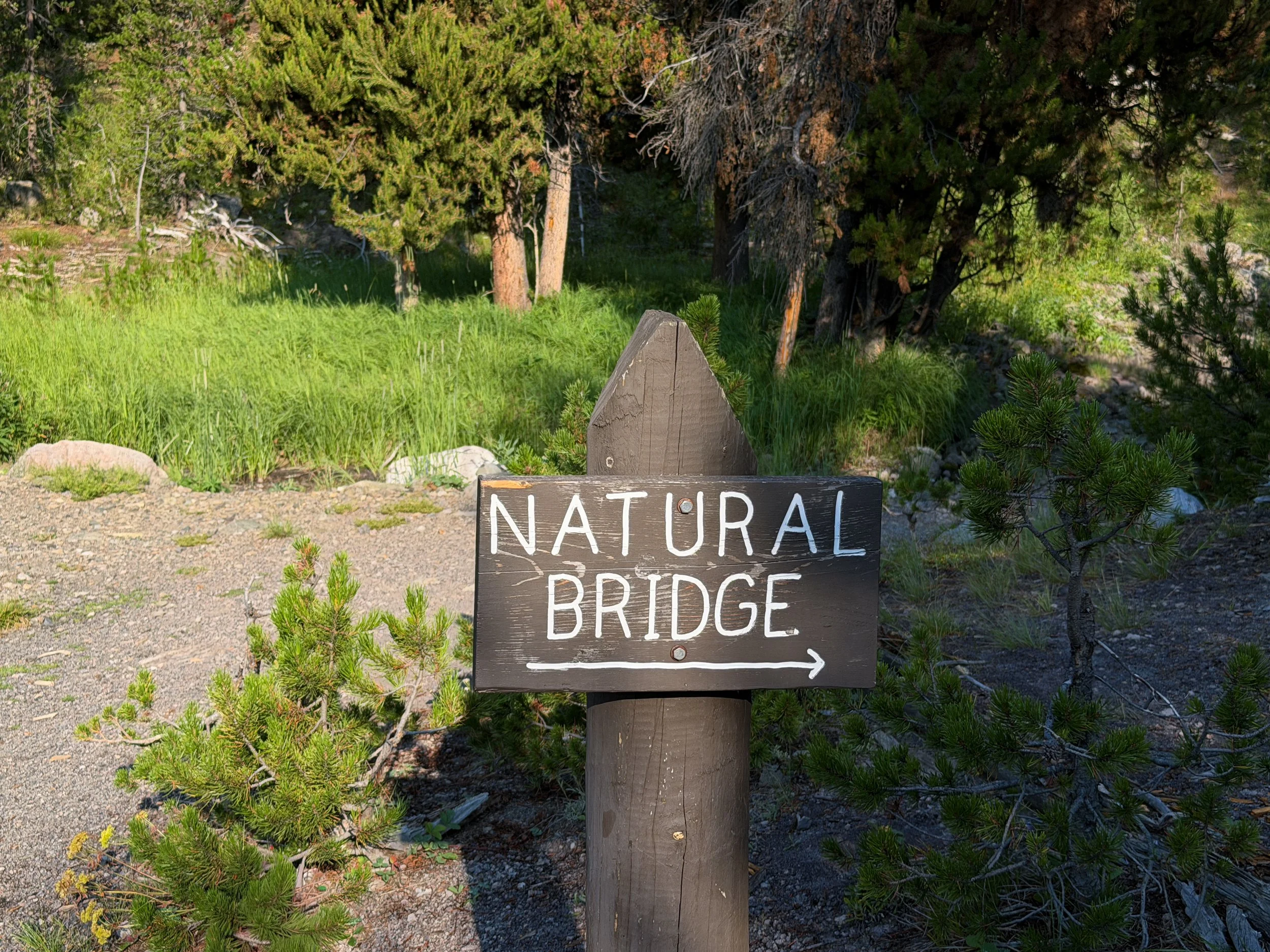 Natural Bridge Trail Yellowstone National Park Wyoming