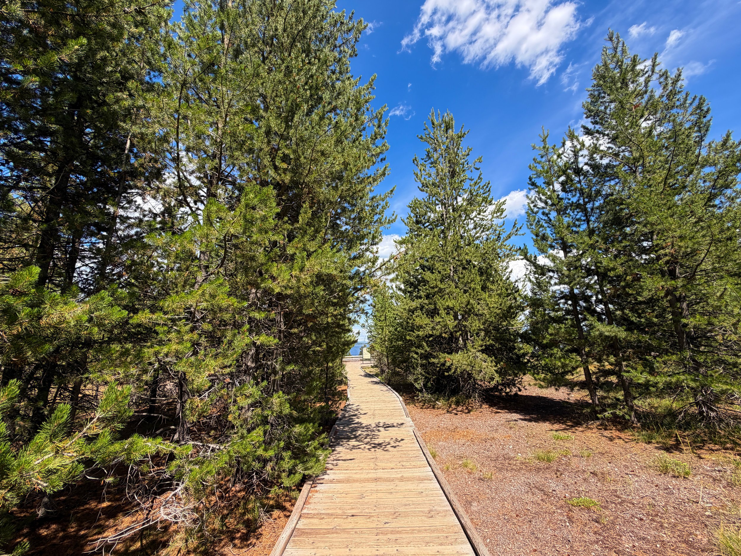 West Thumb Geyser Basin Trail Yellowstone National Park Wyoming