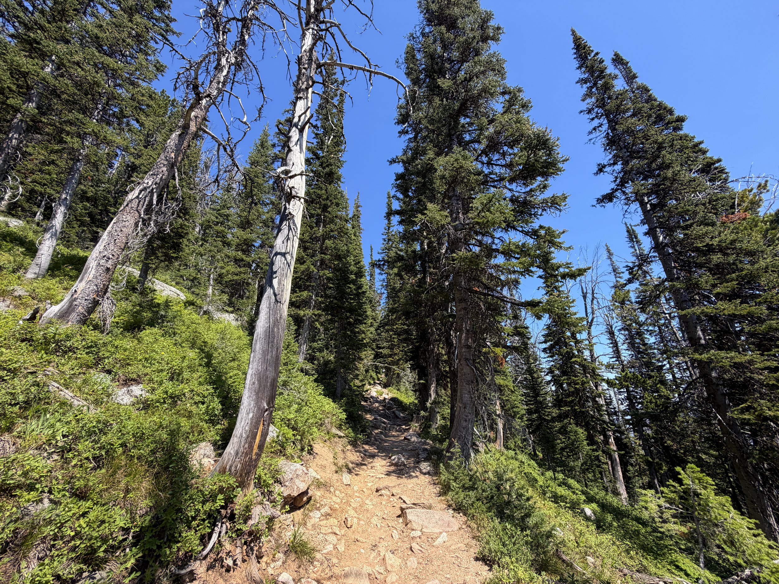 Surprise and Amphitheater Lakes Trail Grand Teton National Park Wyoming