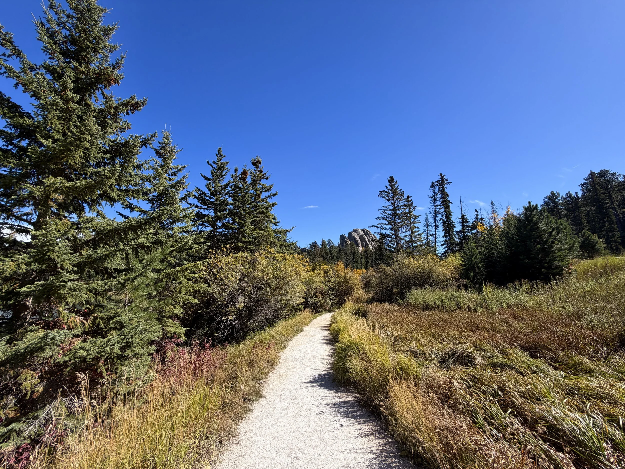 Sylvan Lake to Sunday Gulch Trail Custer State Park Black Hills South Dakota