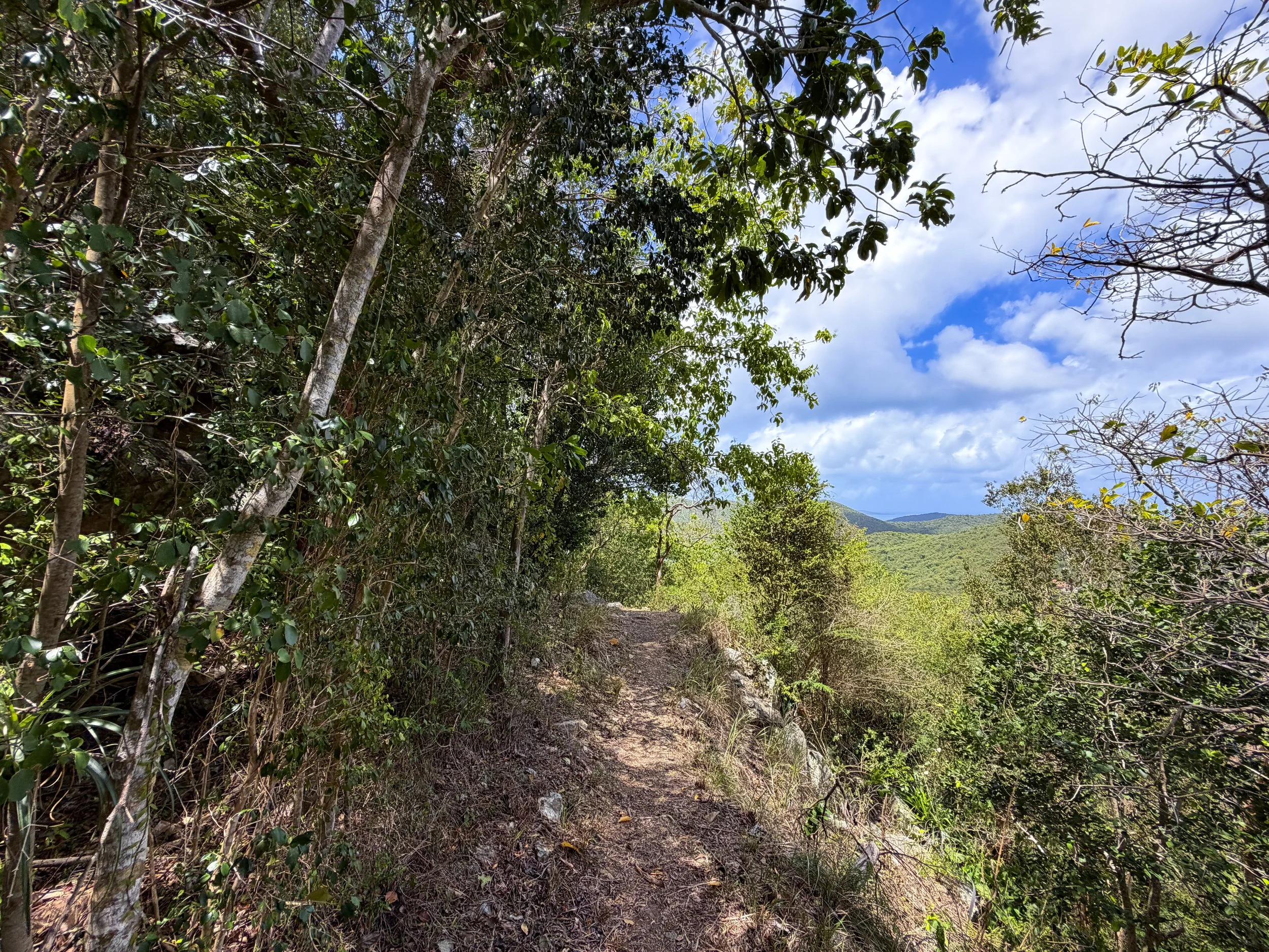 Maria Hope Trail Virgin Islands National Park