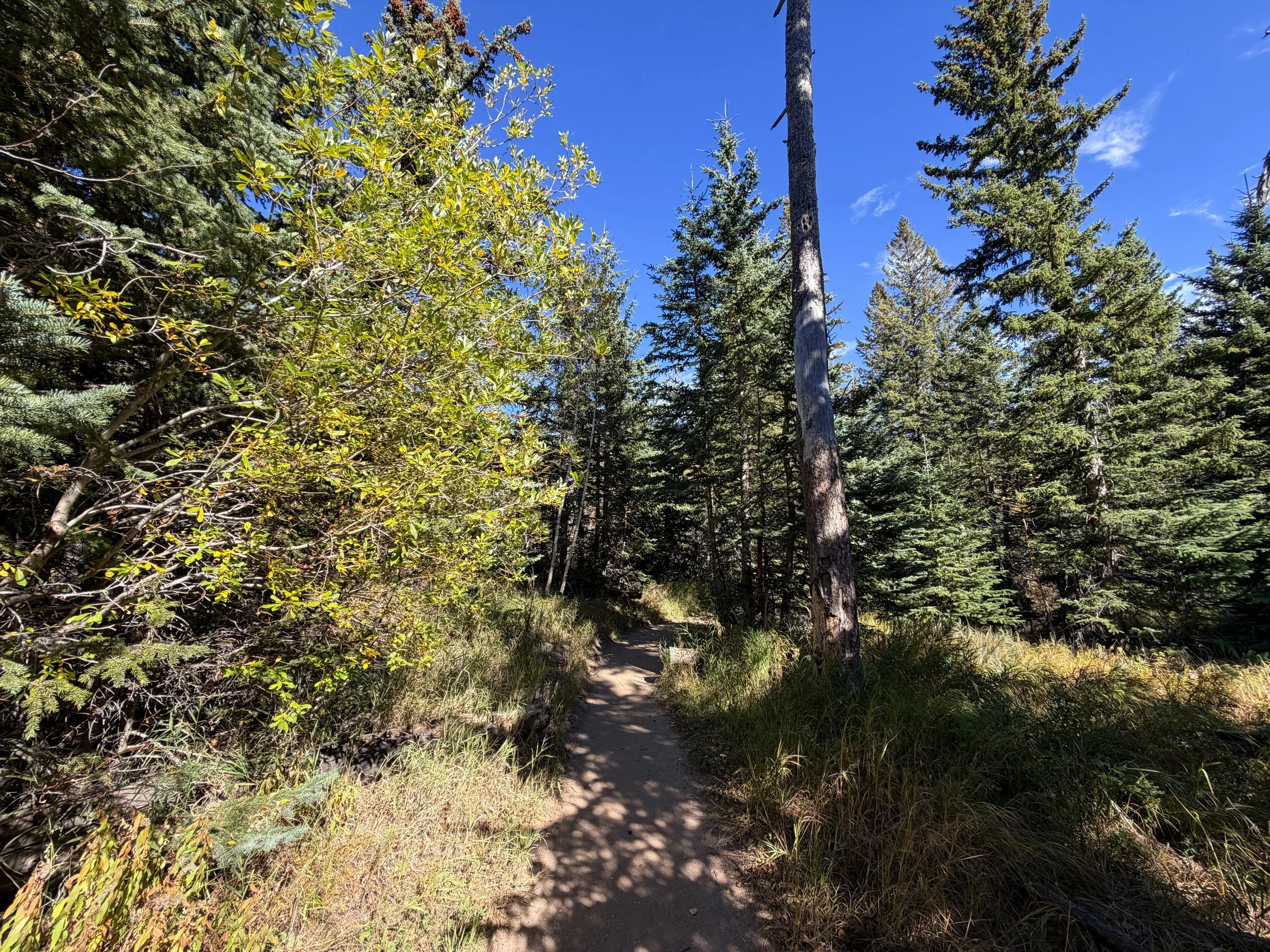 Black Elk Peak Trail via Custer State Park Black Hills South Dakota