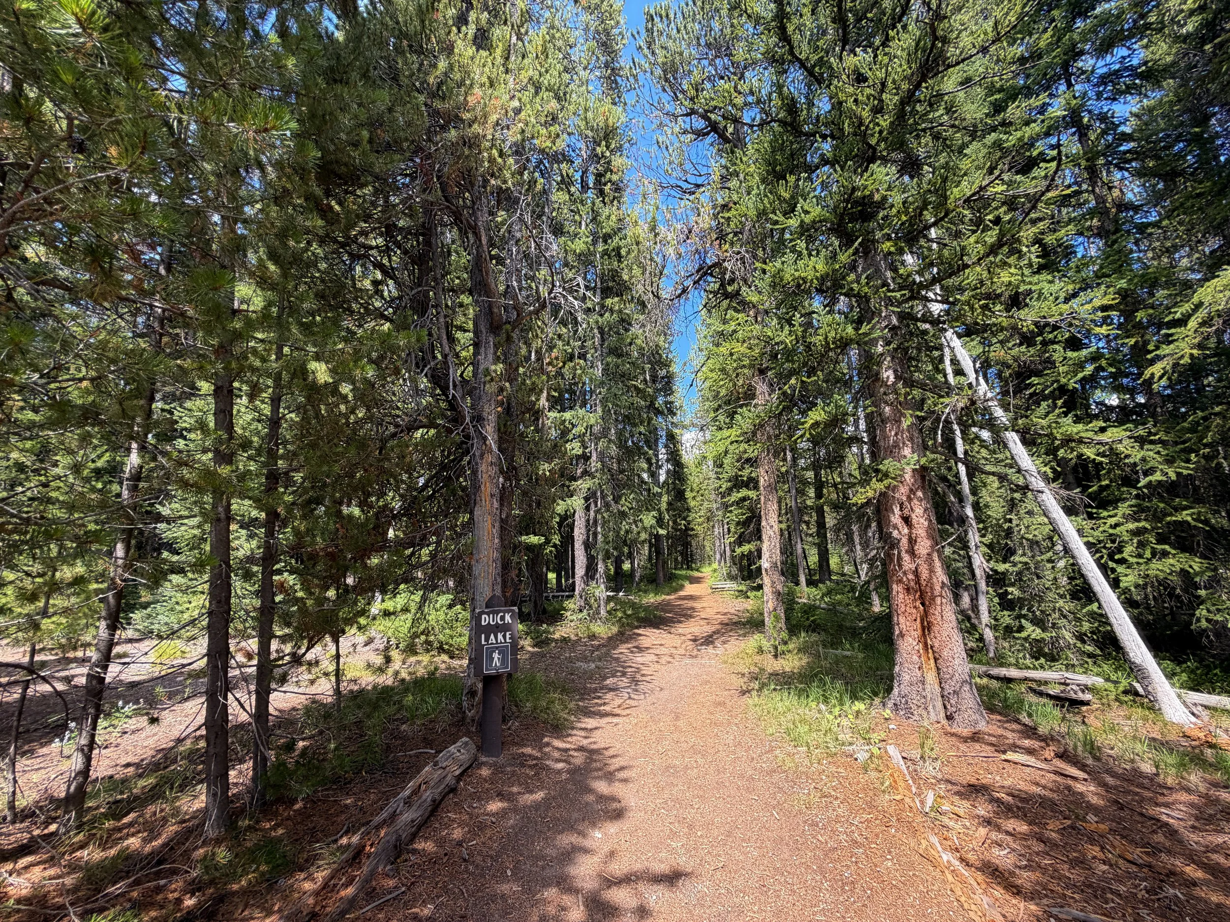 Duck Lake Trail Yellowstone National Park Wyoming