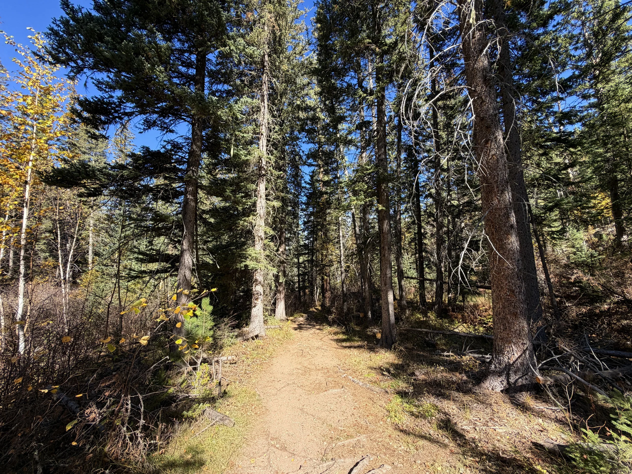Sunday Gulch Loop Hike Custer State Park Black Hills South Dakota