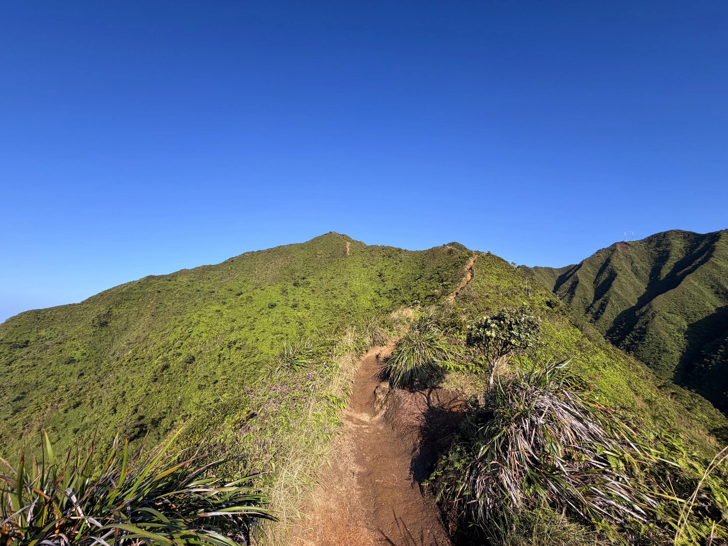 Moanalua Middle Ridge Trail Back Way to the Stairway to Heaven Oahu Hawaii