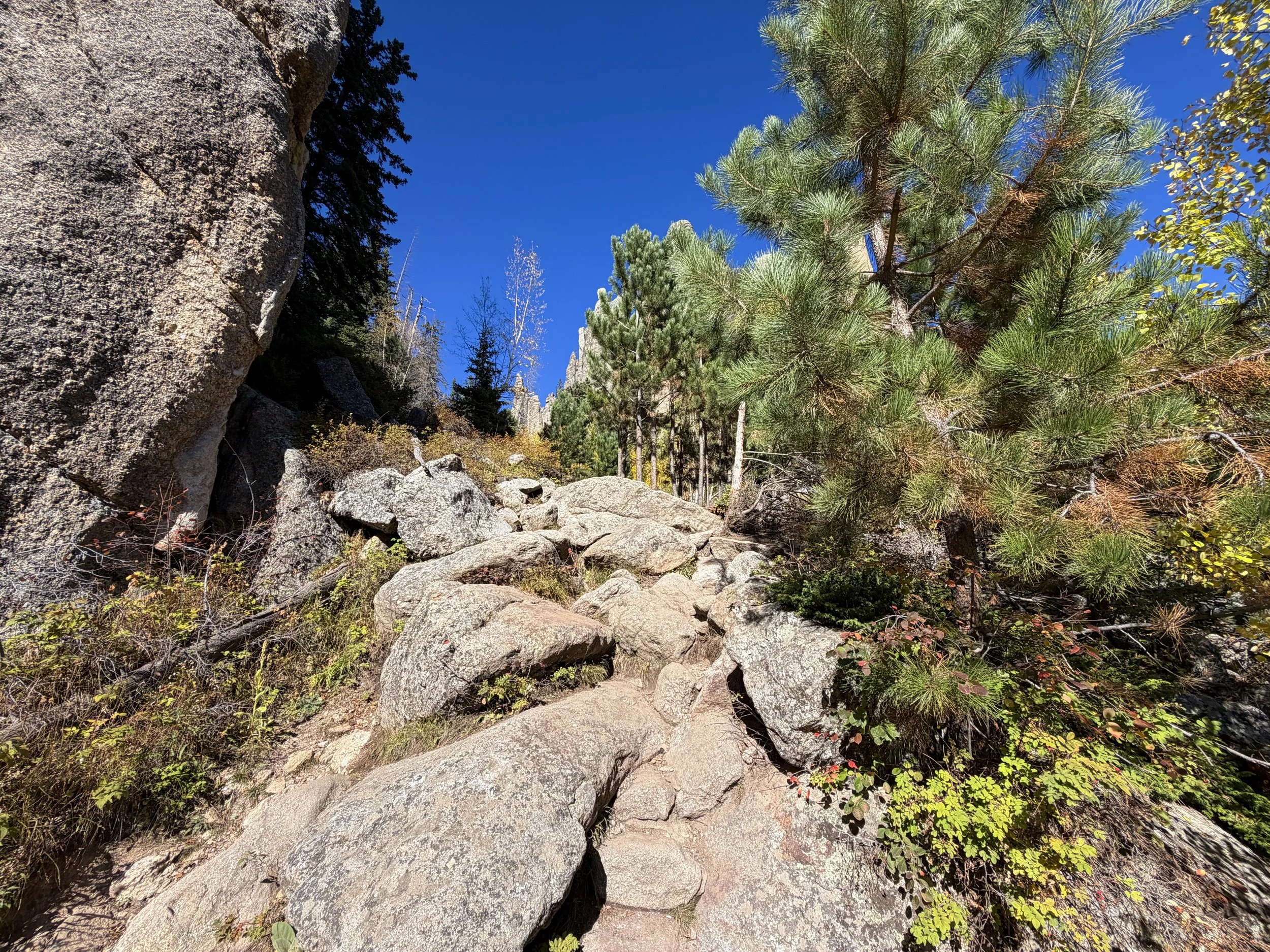 Cathedral Spires Hike Custer State Park Black Hills South Dakota