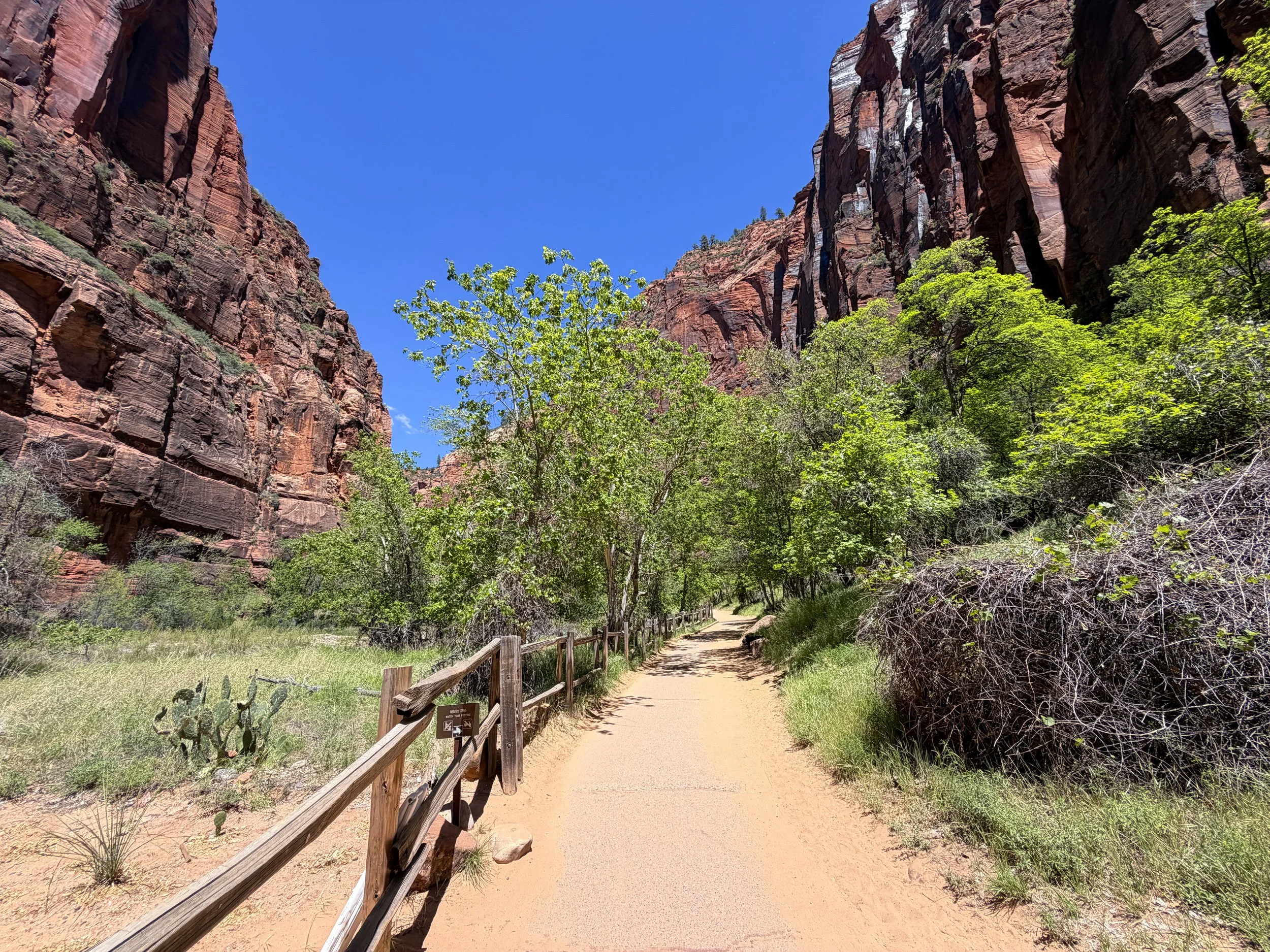 Riverside Walk Zion National Park Utah