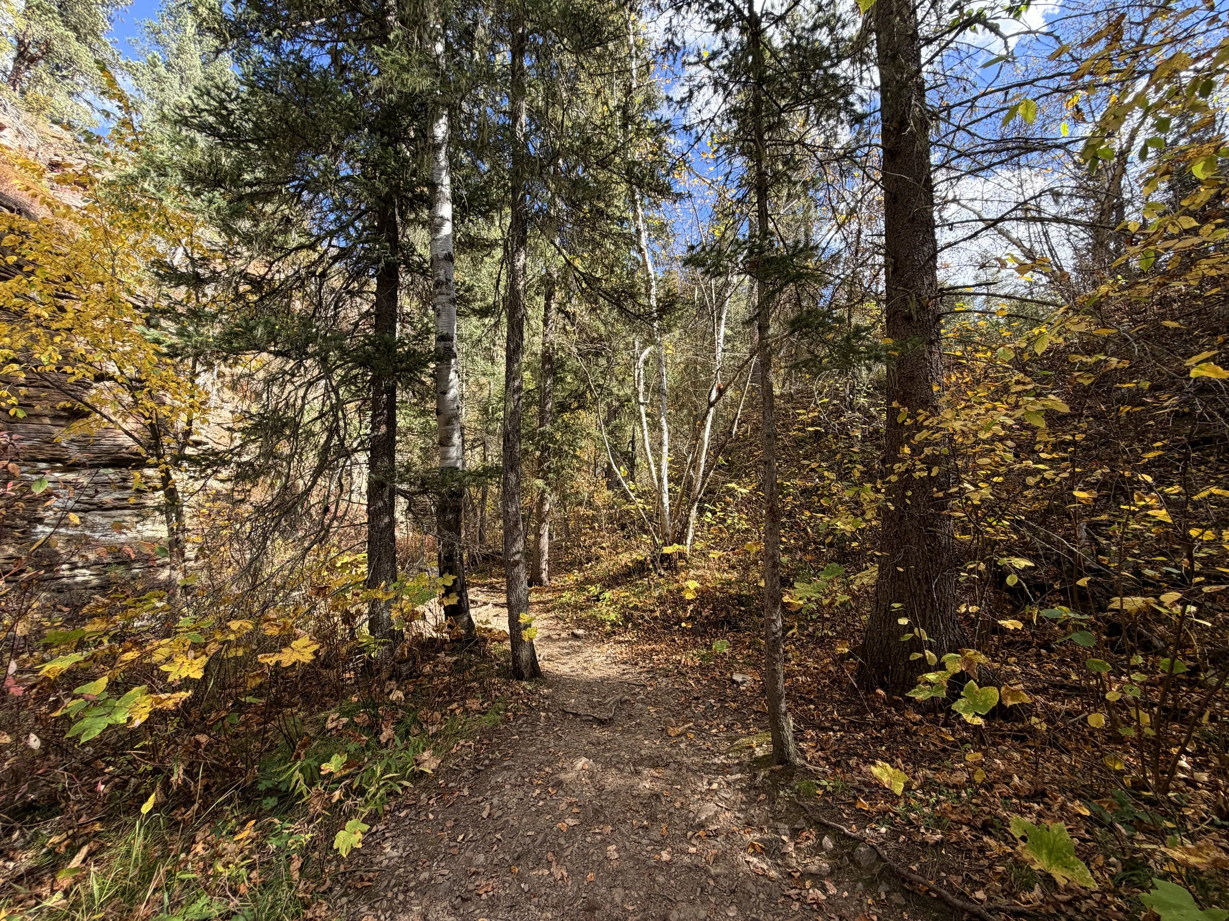 Devils Bathtub Trail Spearfish Canyon Black Hills South Dakota