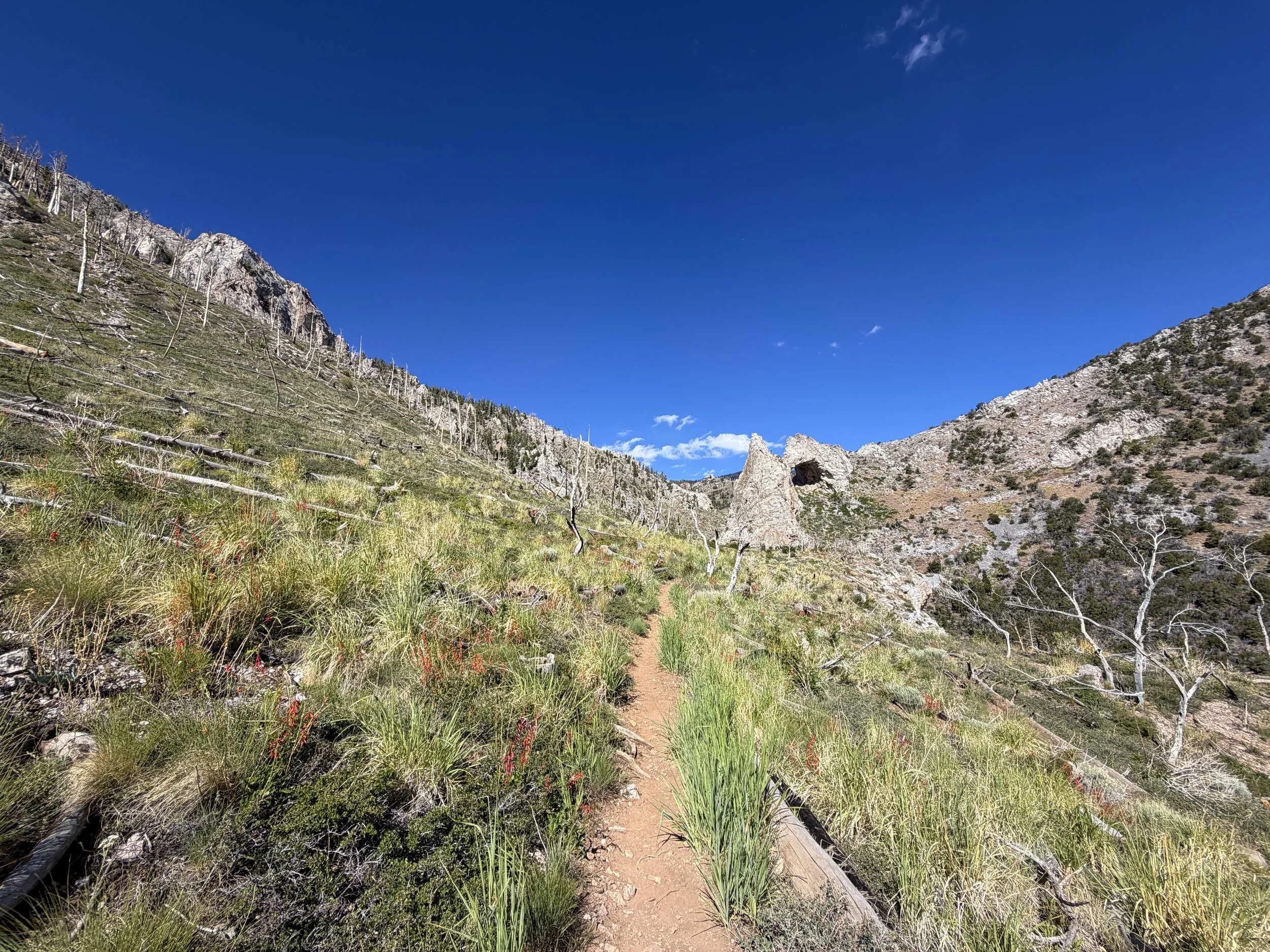 Lexington Arch Trail Great Basin National Park Nevada