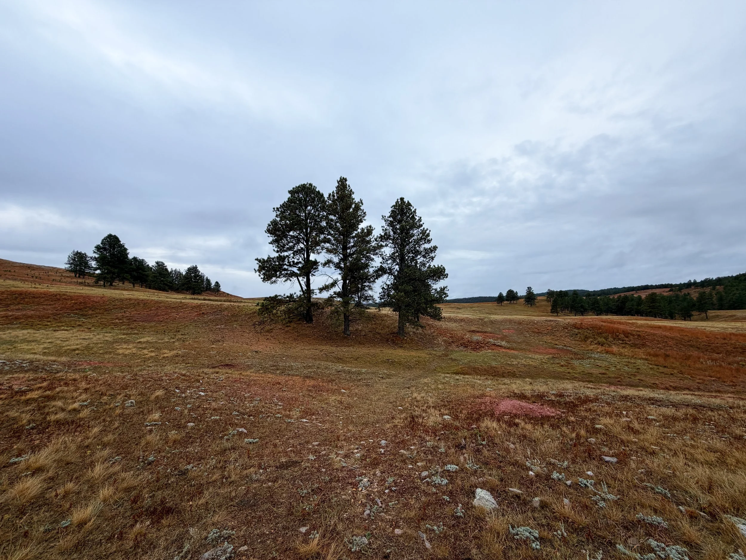 Highland Creek Trail Wind Cave National Park South Dakota