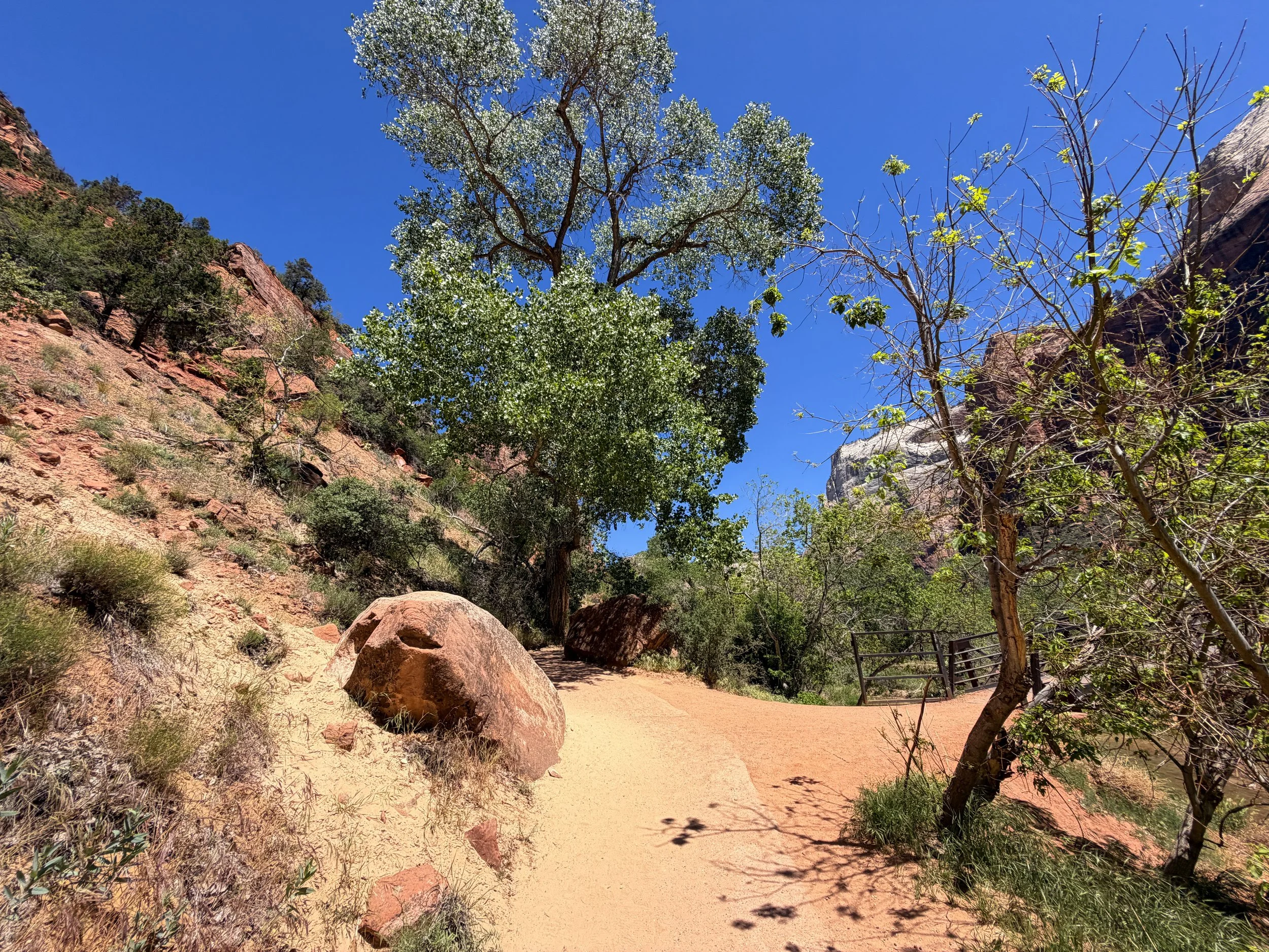 Emerald Pools Trail Zion National Park Utah