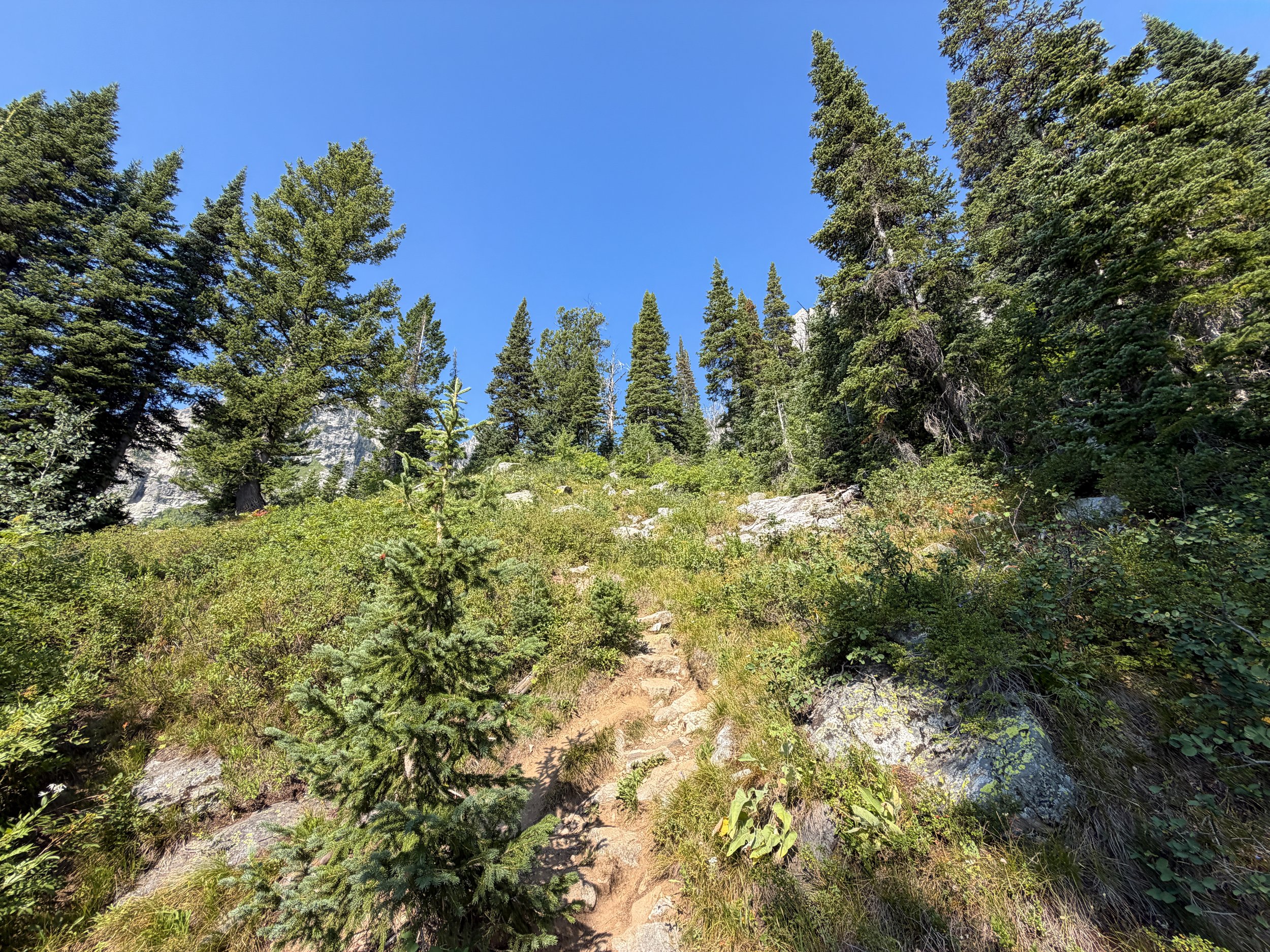 Lake of the Crags Trail via Jenny Lake Grand Teton National Park Wyoming