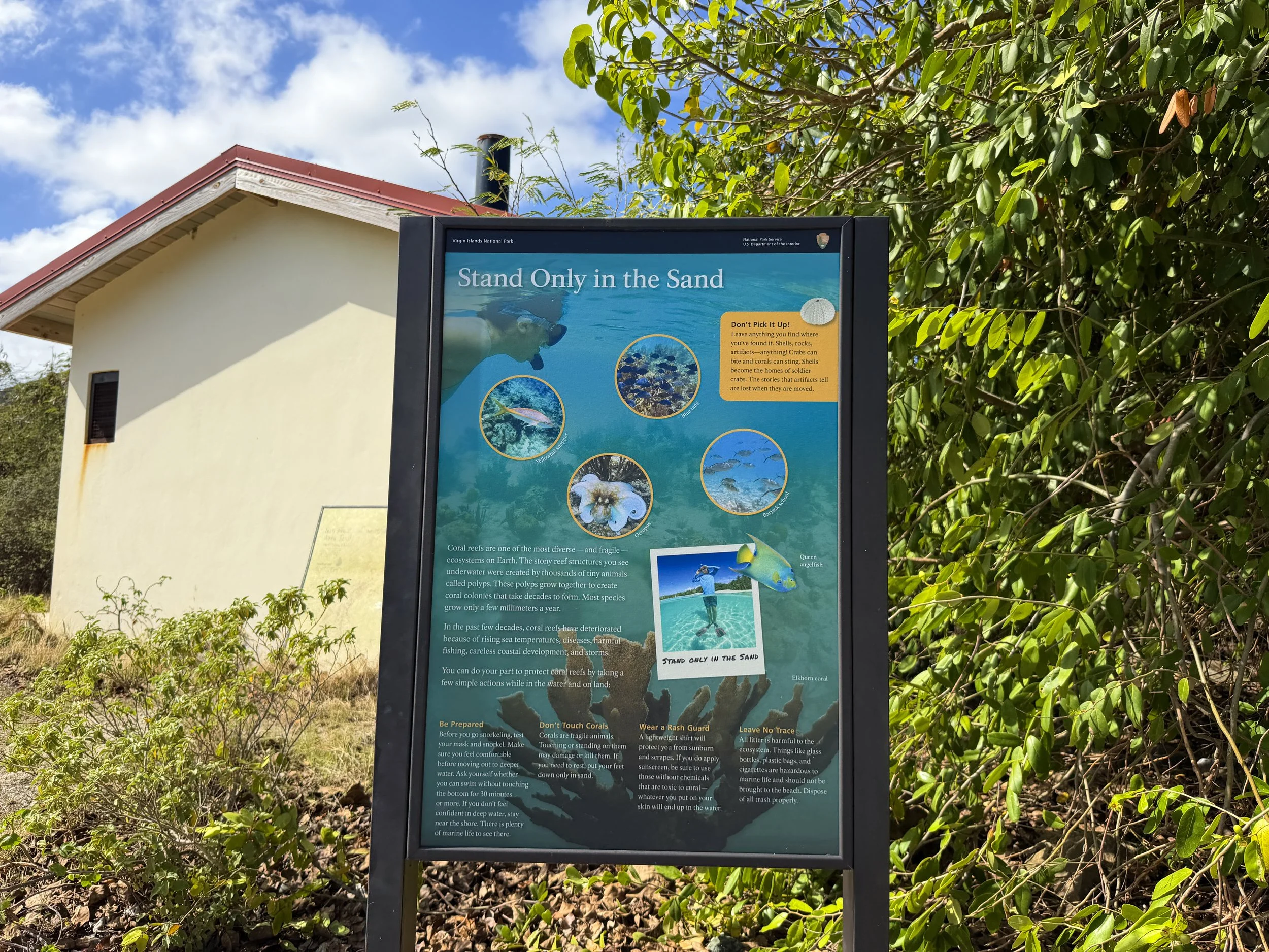 Salt Pond Bay to Drunk Bay Trail Virgin Islands National Park