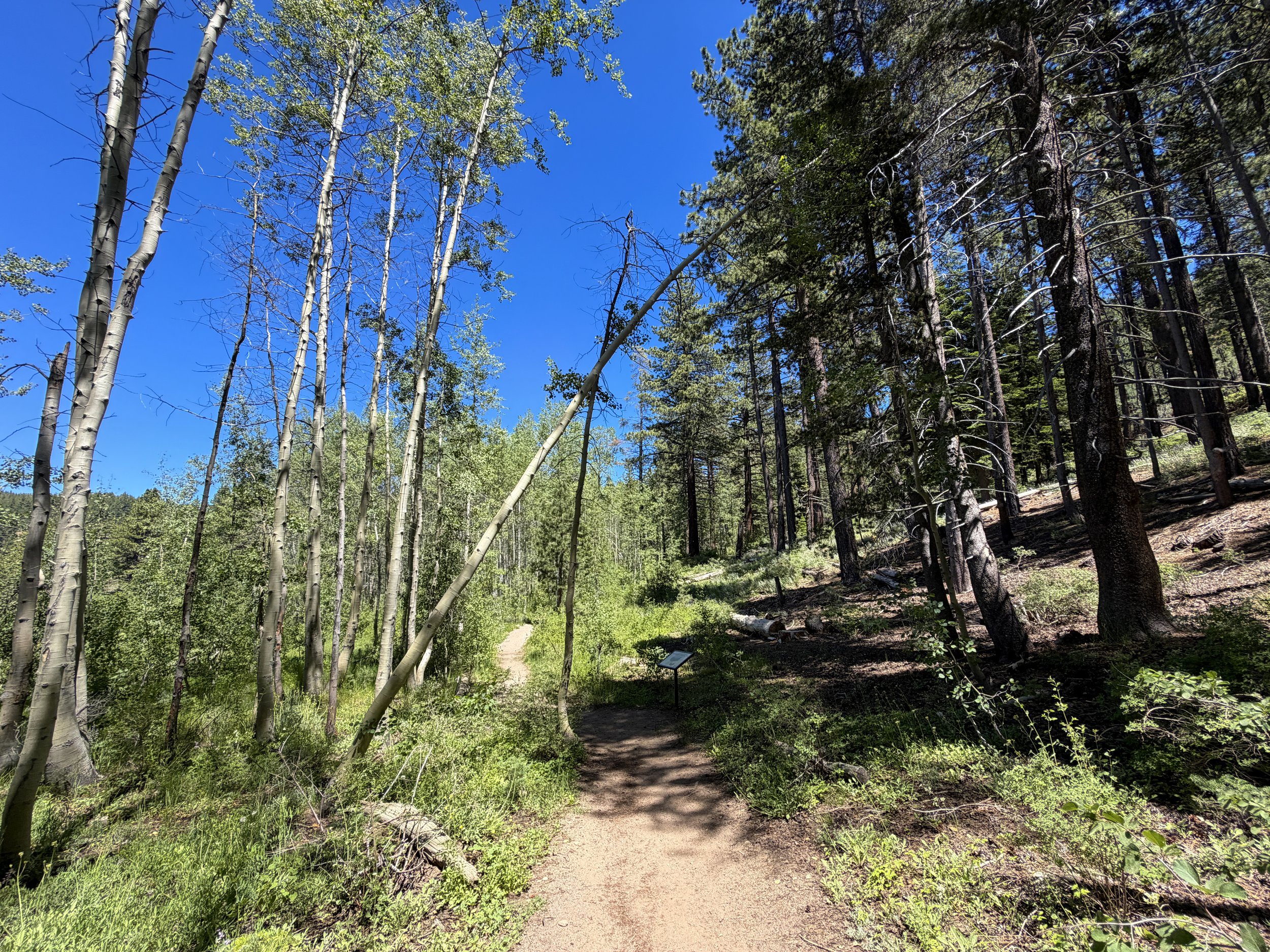 Spooner Lake Trail Lake Tahoe Nevada