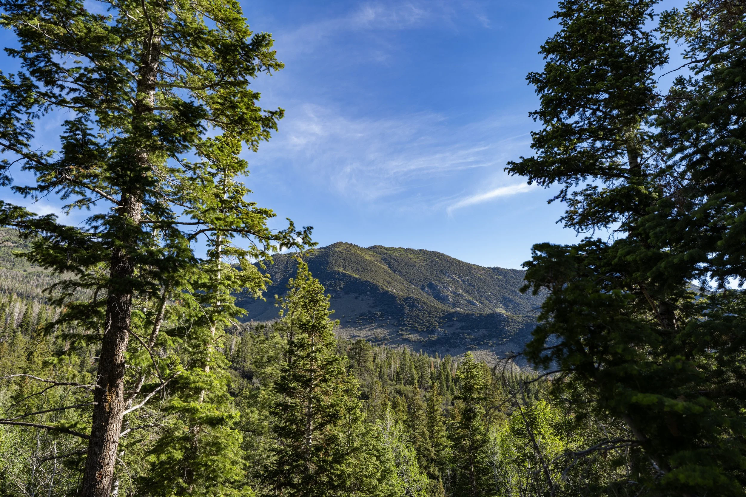 Snake Creek Overlook Trail Great Basin National Park Nevada