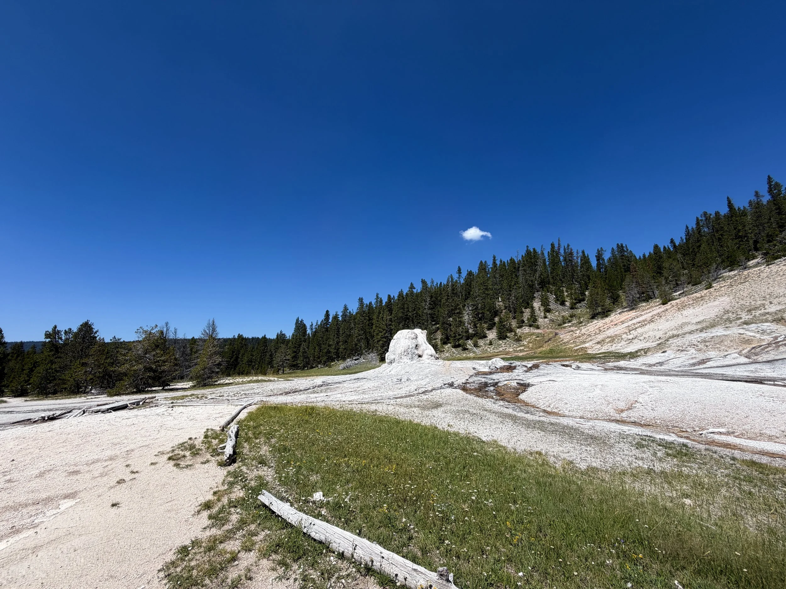Lone Star Geyser Yellowstone National Park Wyoming