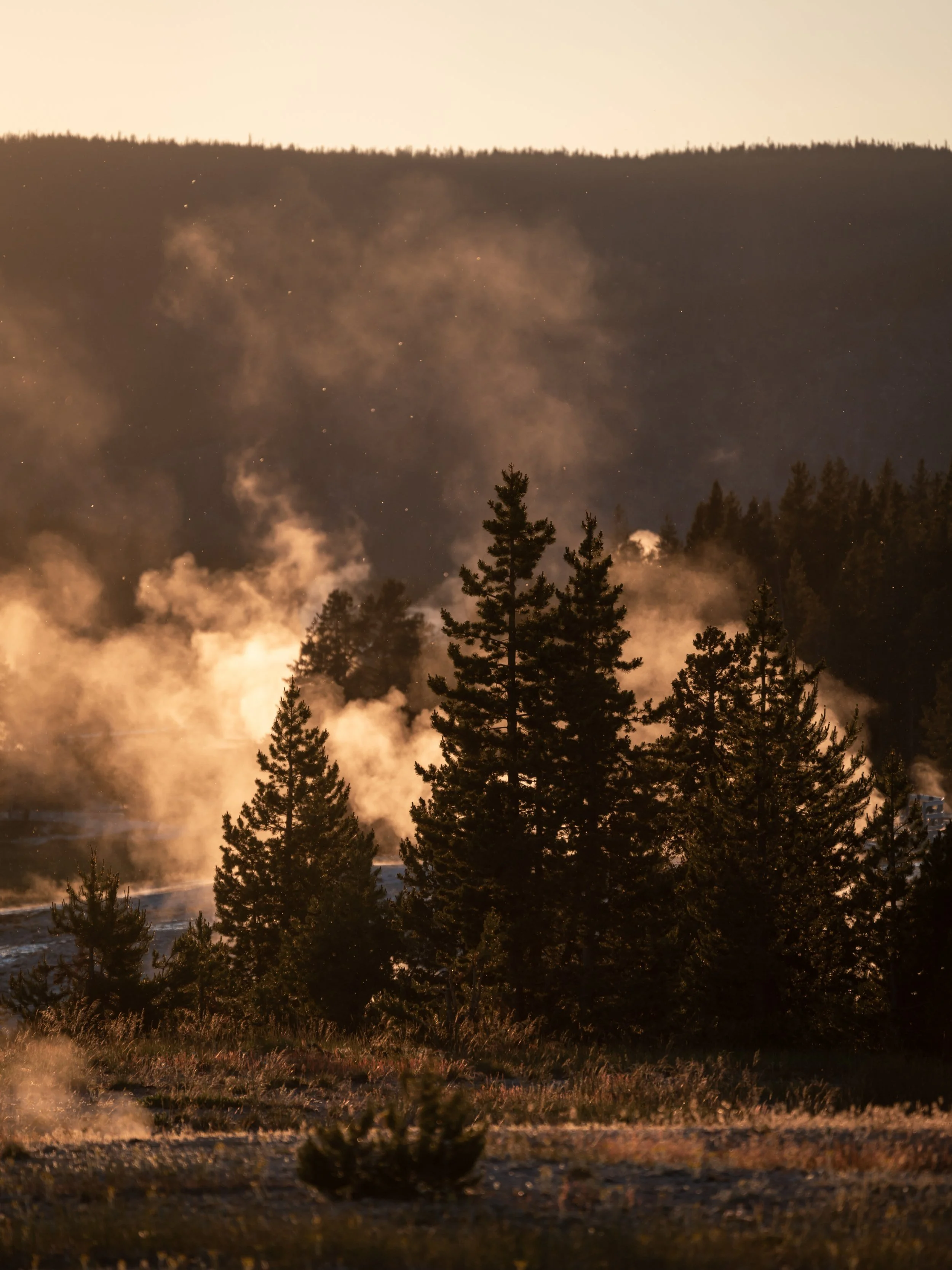 Upper Geyser Basin Trail Sunset Yellowstone National Park