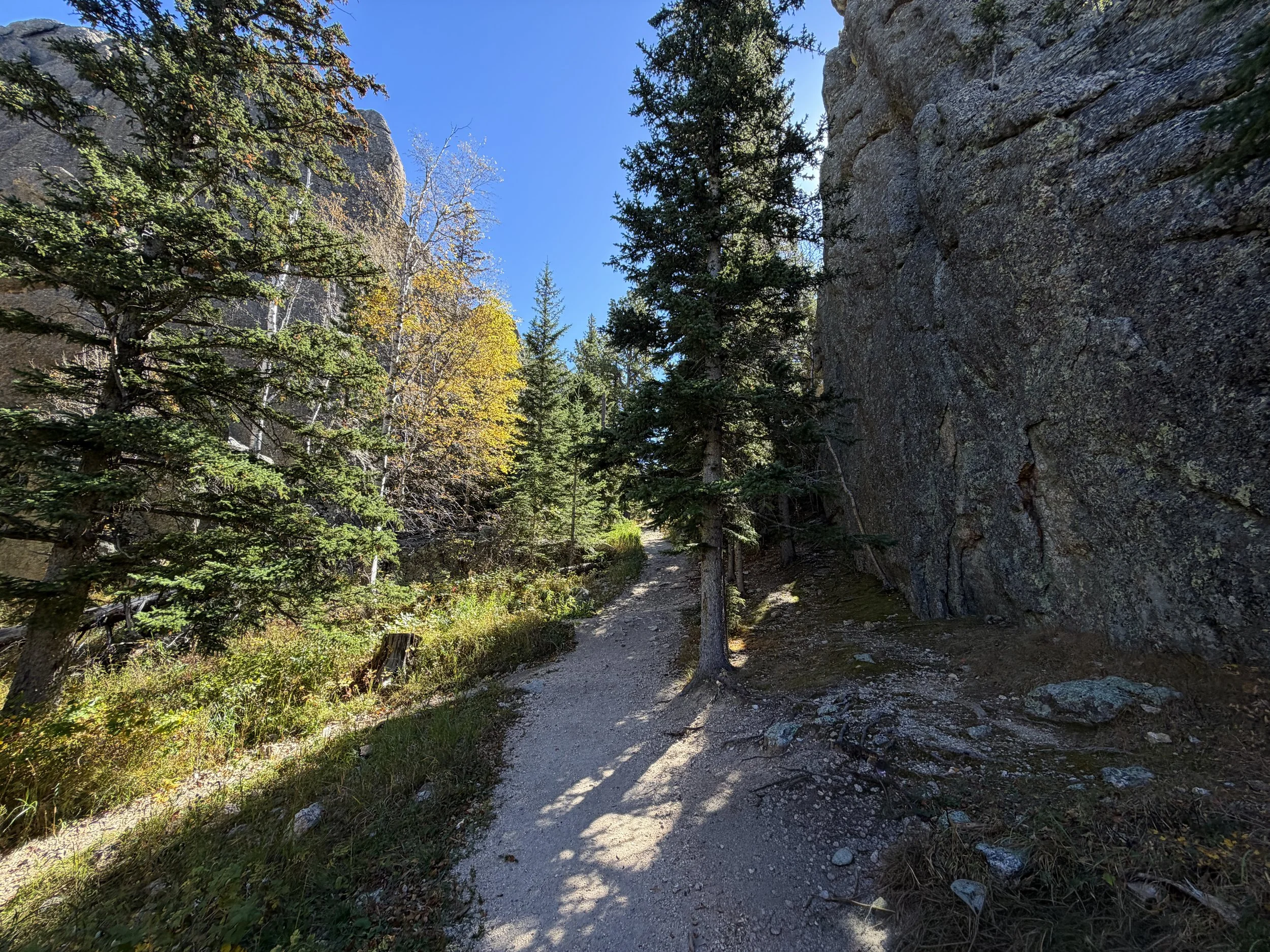 Sunday Gulch Trail Custer State Park Black Hills South Dakota
