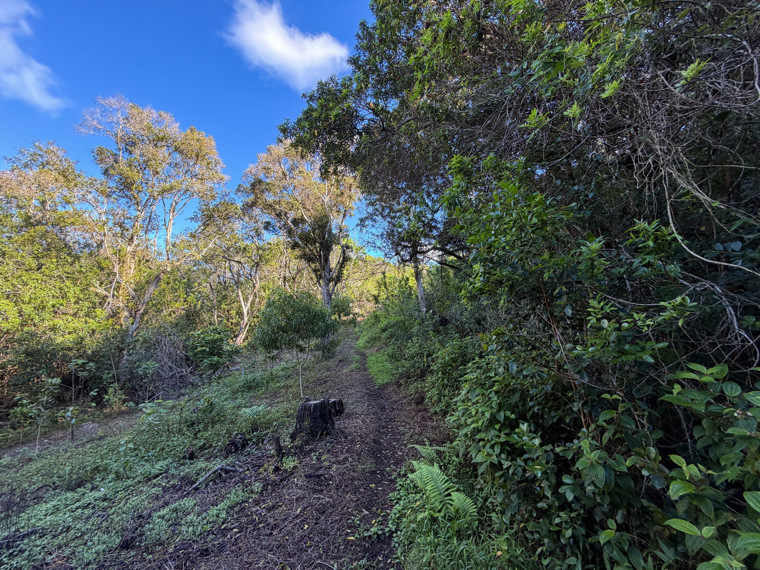 Mokuleia Trail Oahu Hawaii