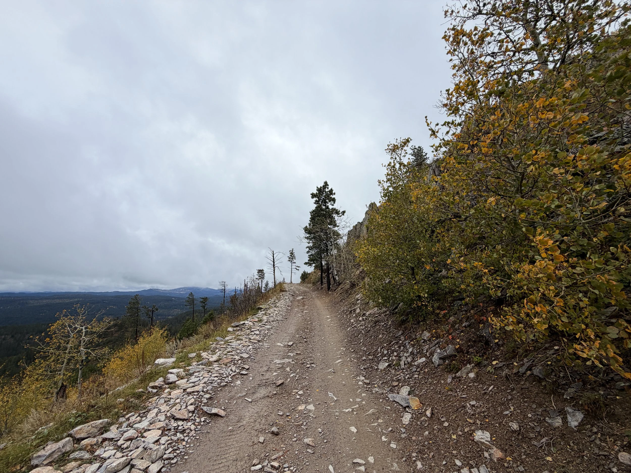 Custer Peak Trail Black Hills South Dakota