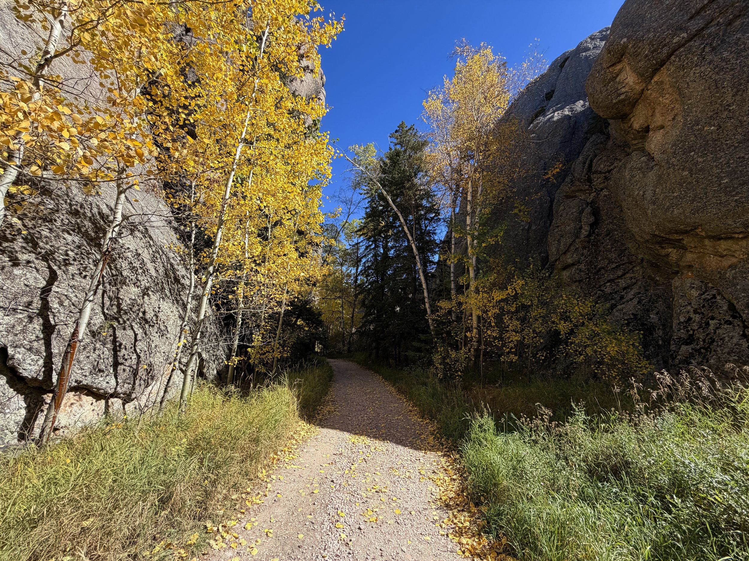 Sunday Gulch Trail Custer State Park Black Hills South Dakota