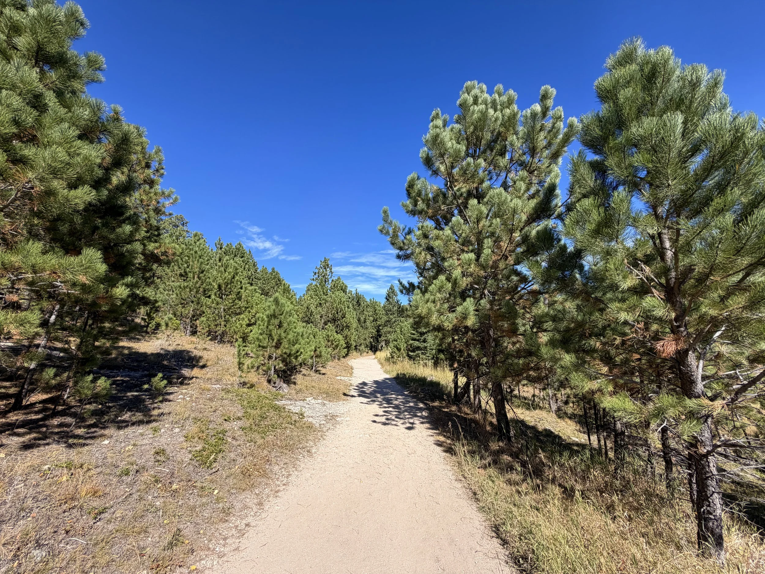 Black Elk Peak Trail Custer State Park Black Hills South Dakota